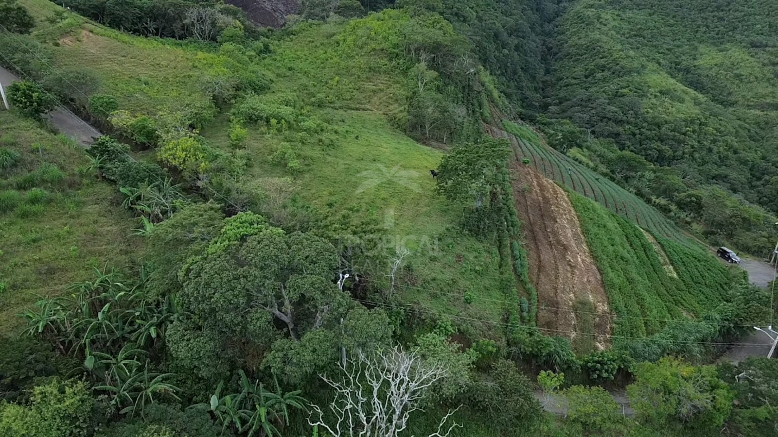 Lote de 11,000 m² (2.72 Acres) en Venta en Salitral de Santa Ana, Carretera a Escazú