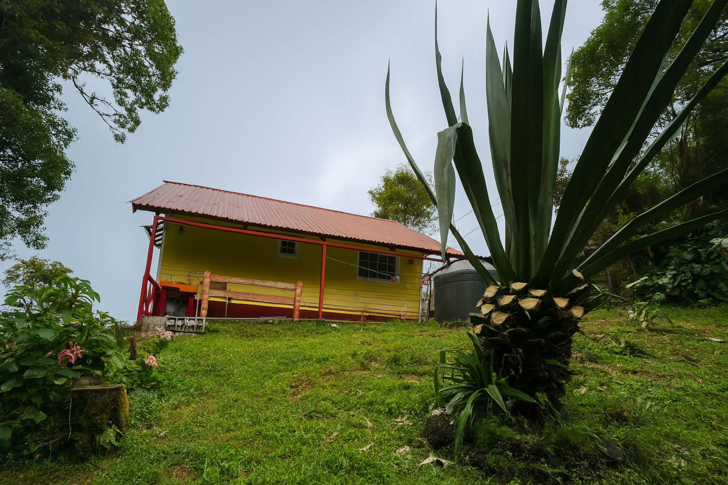 Rustic House for Sale with Views and Creeks – Monserrat de Coronado |SOLD