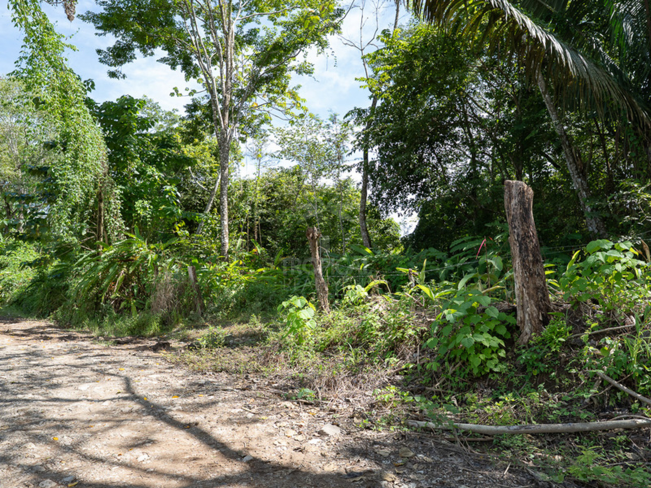 Commercial and Tourism Lot in Cabuya – Visibility, Nature, and Growth Potential