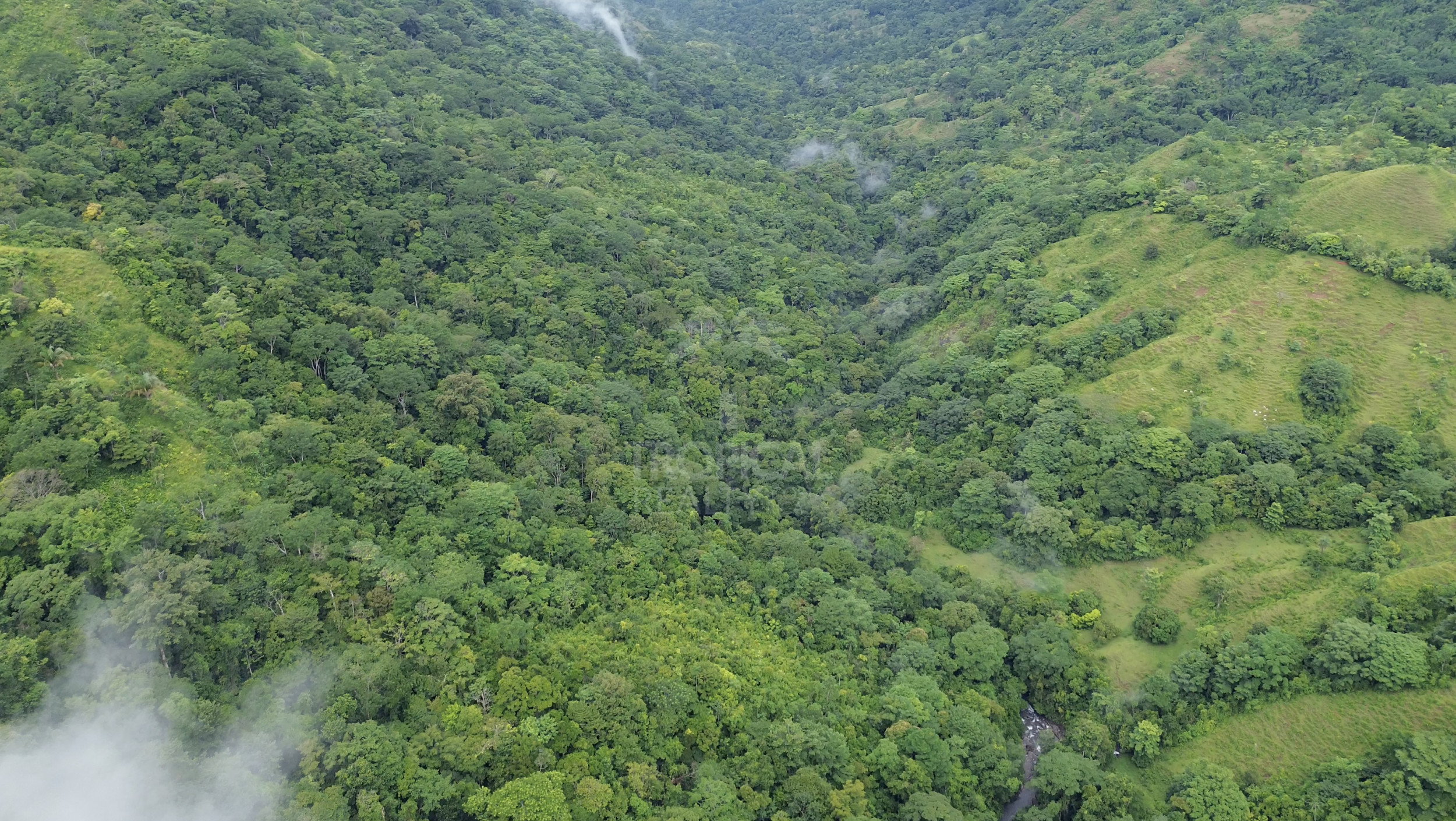 210-Hectare Farm for Sale in Tulín, Puriscal | 519 acres