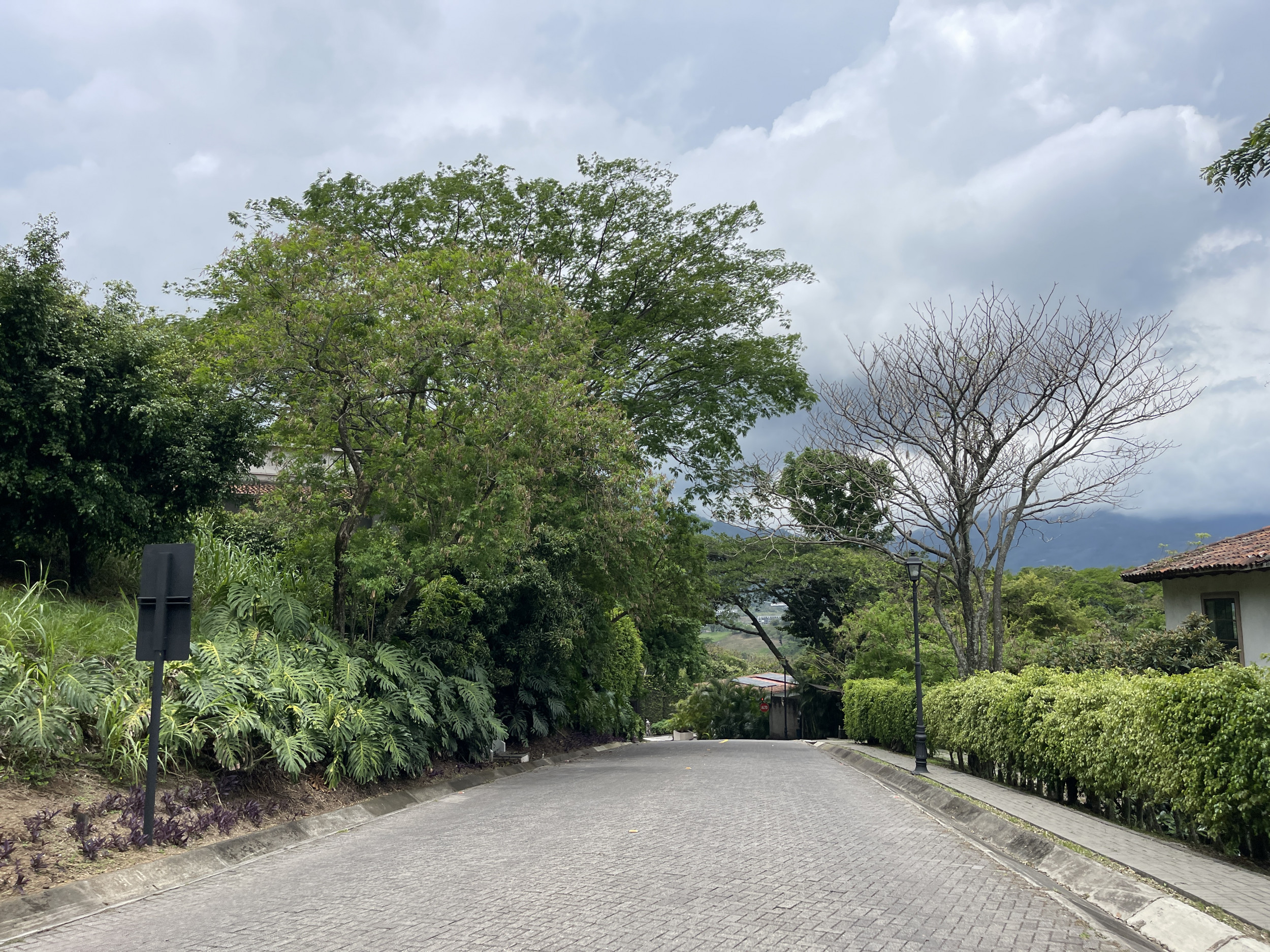 Villa Real Santa Ana: Stunning Contemporary Investment Property with Panoramic Views