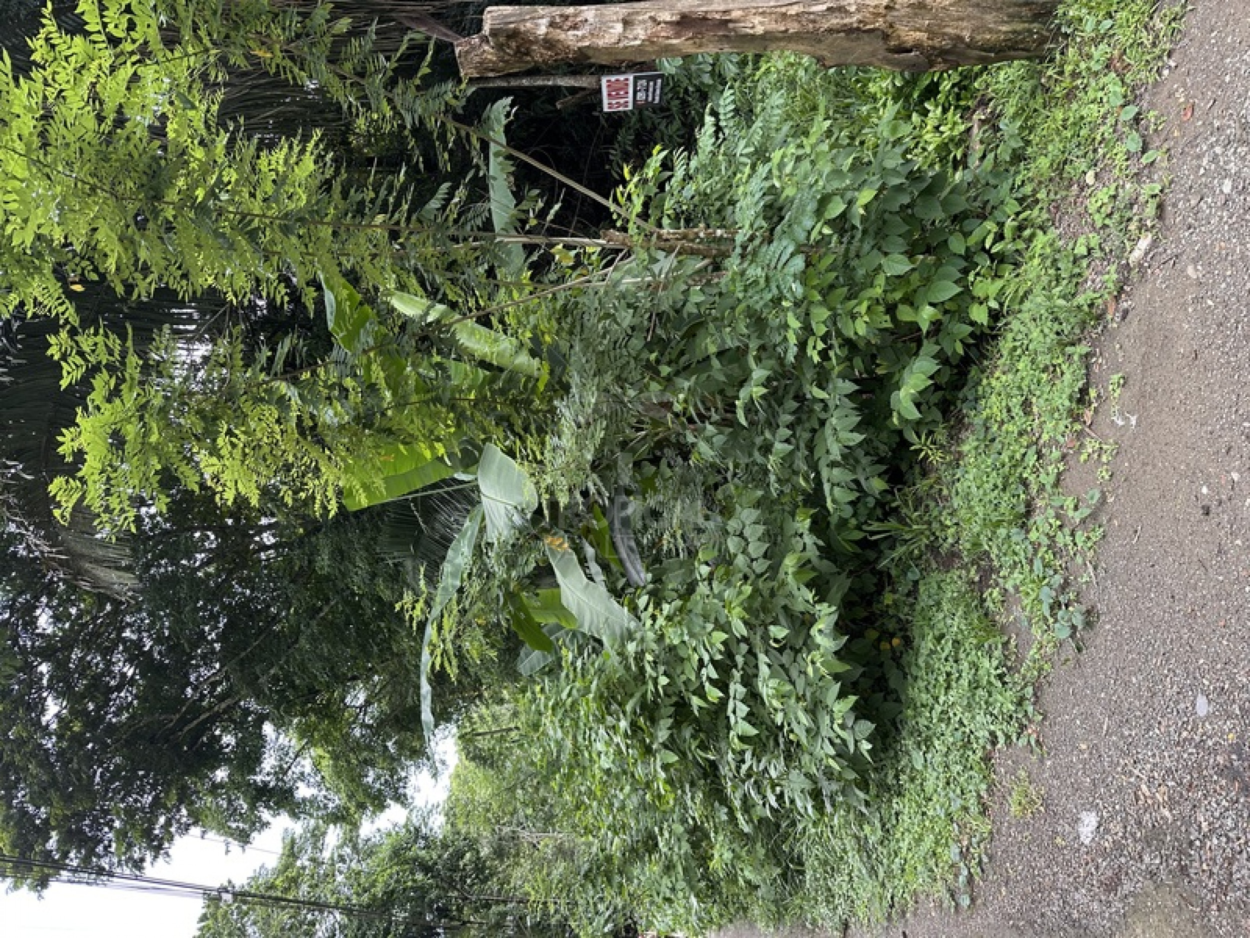 Commercial & Tourism Development Lot for Sale in Manzanillo, Costa Rica – Prime Location Near the Beach