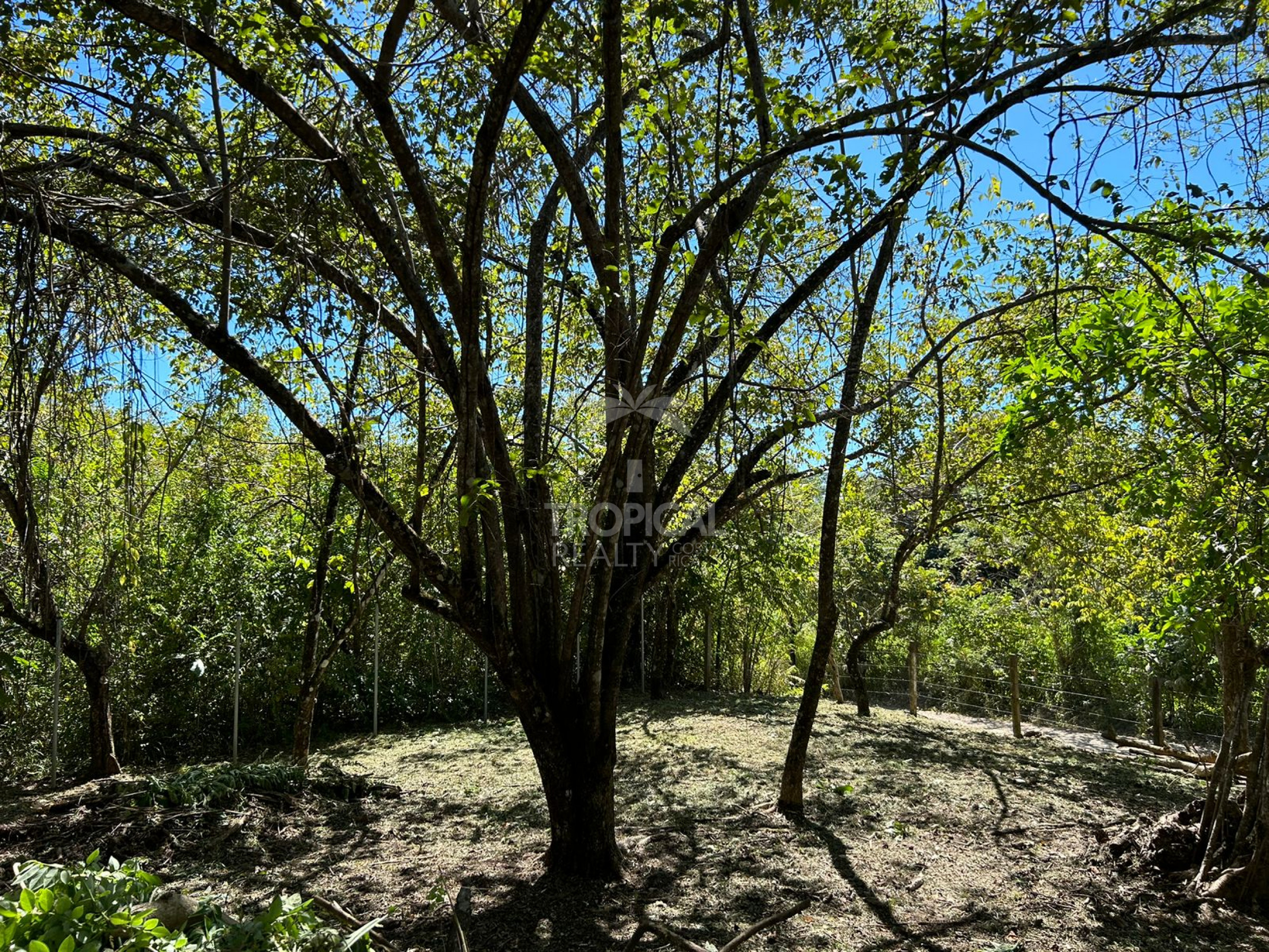 1000m² Lot for Sale in Las Delicias de Cobano: Your Coastal Oasis in Costa Rica.