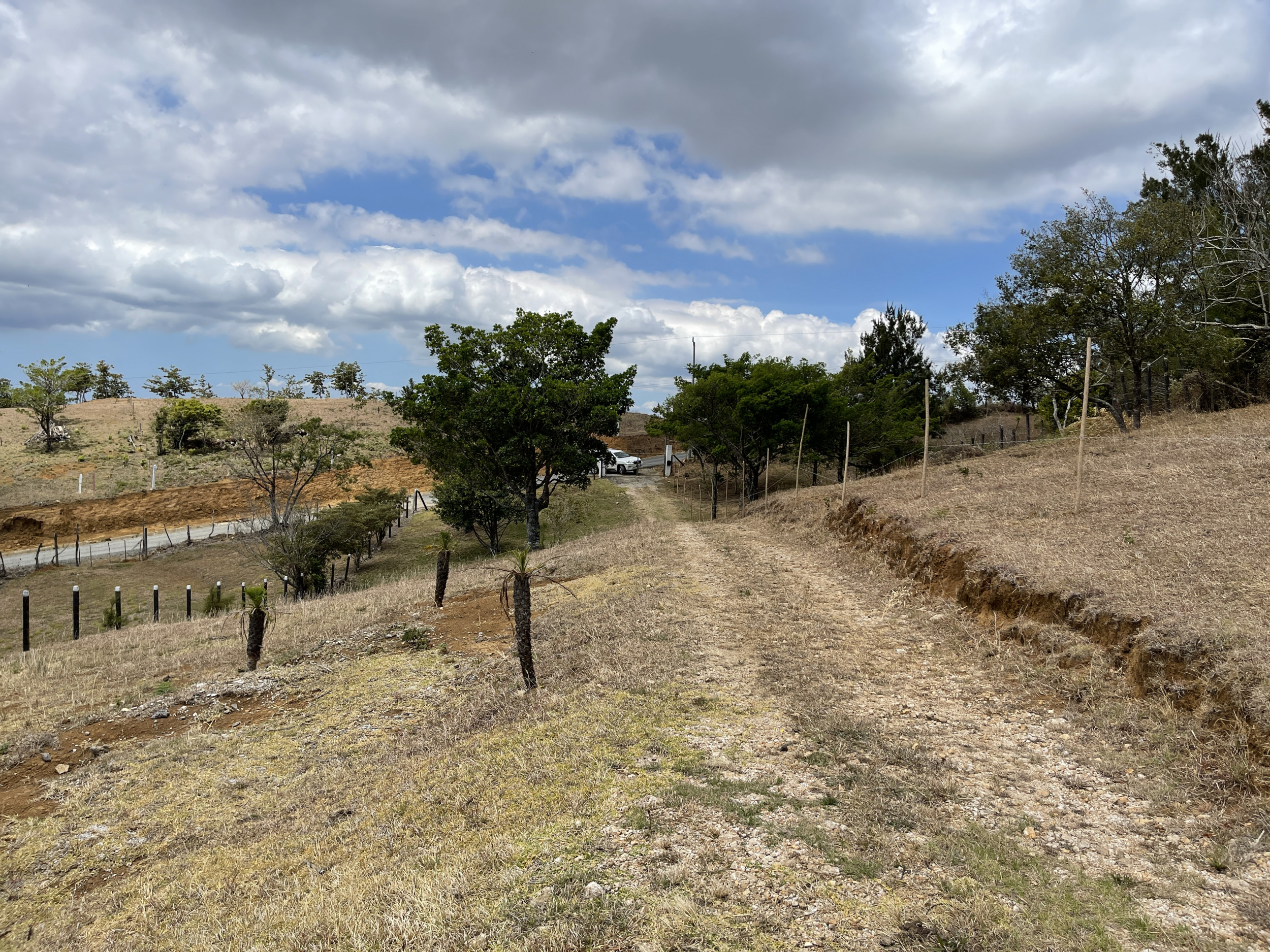 Last Chance: Scenic Lot in San Ramón for Only $69,000 – Urgent Sale!