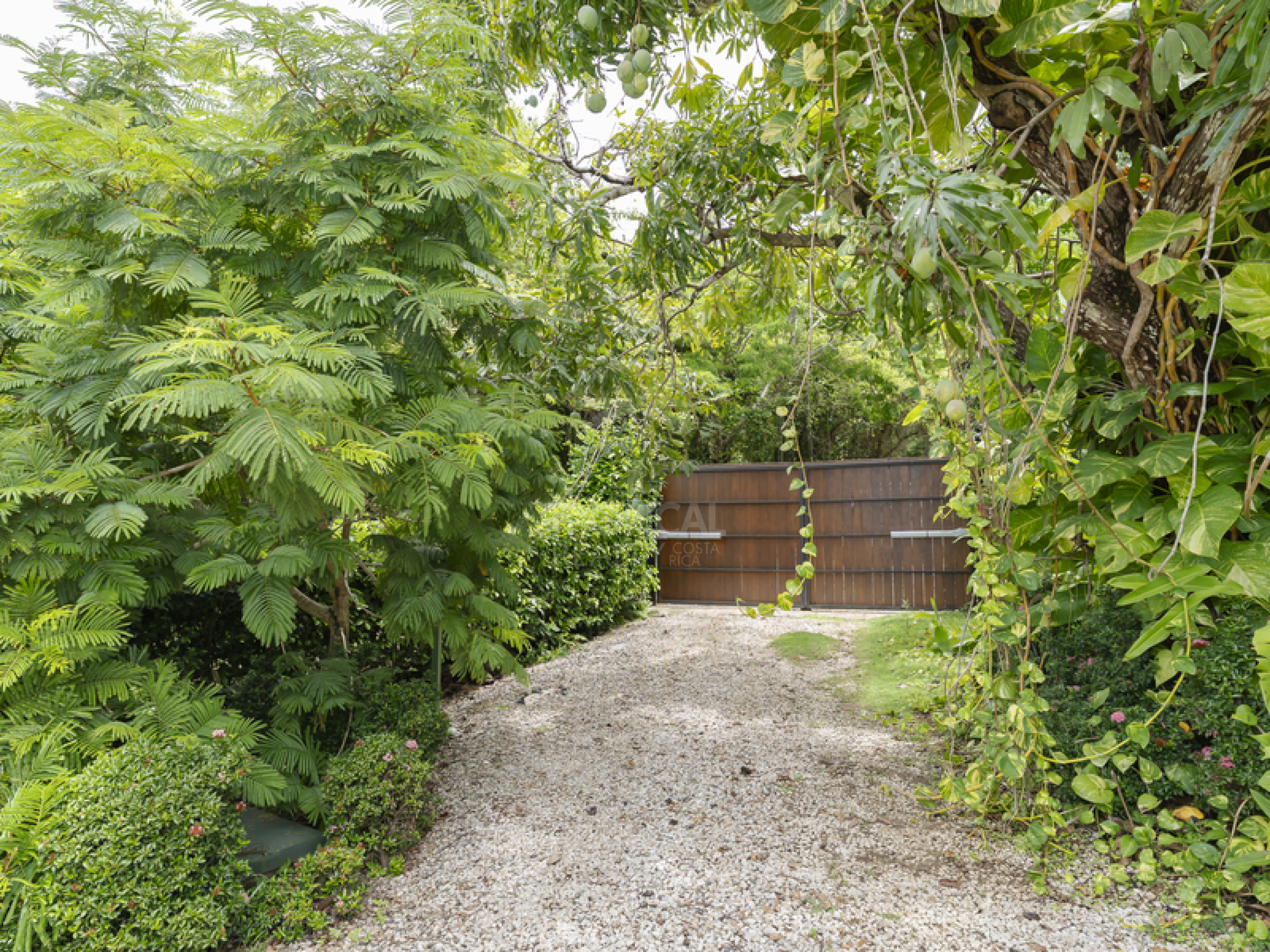 Luxury Ocean View Estate with Private Access to Montezuma Waterfalls