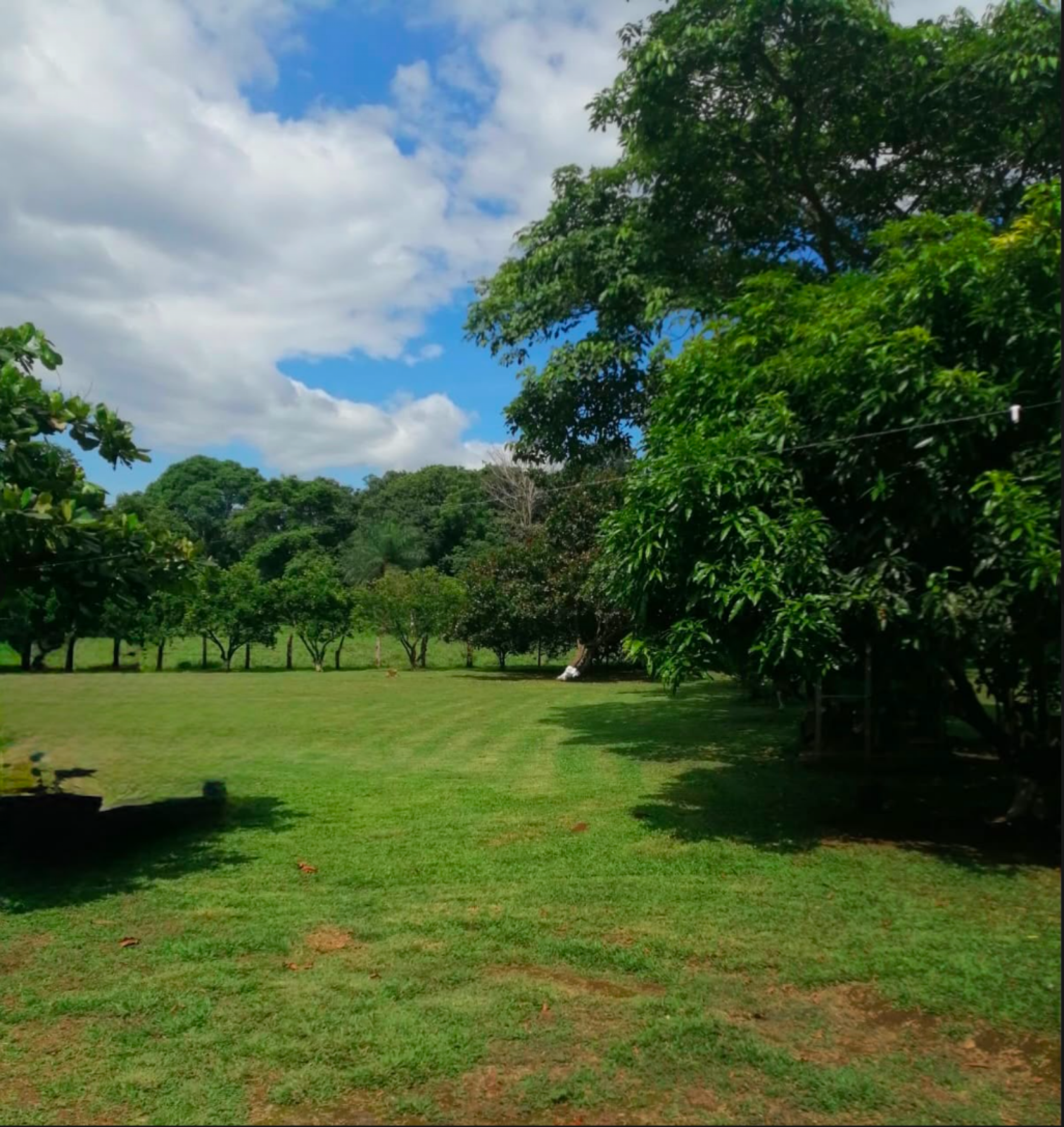 Country Estate for Sale in San Pablo de Turrubares – Nature, Privacy and Investment Potential
