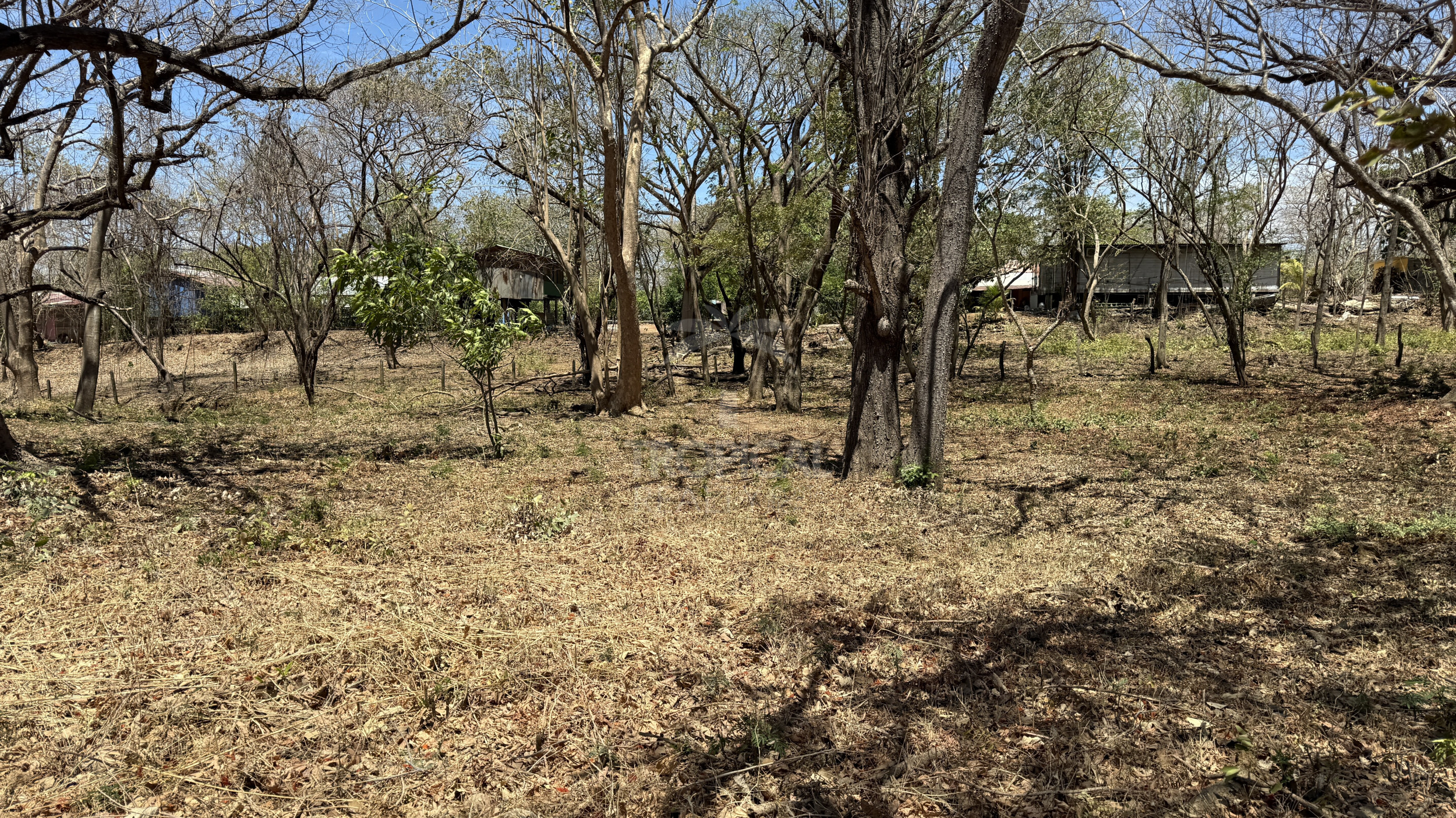 Unique Investment Opportunity – Beachfront Lot for Sale in Guanacaste