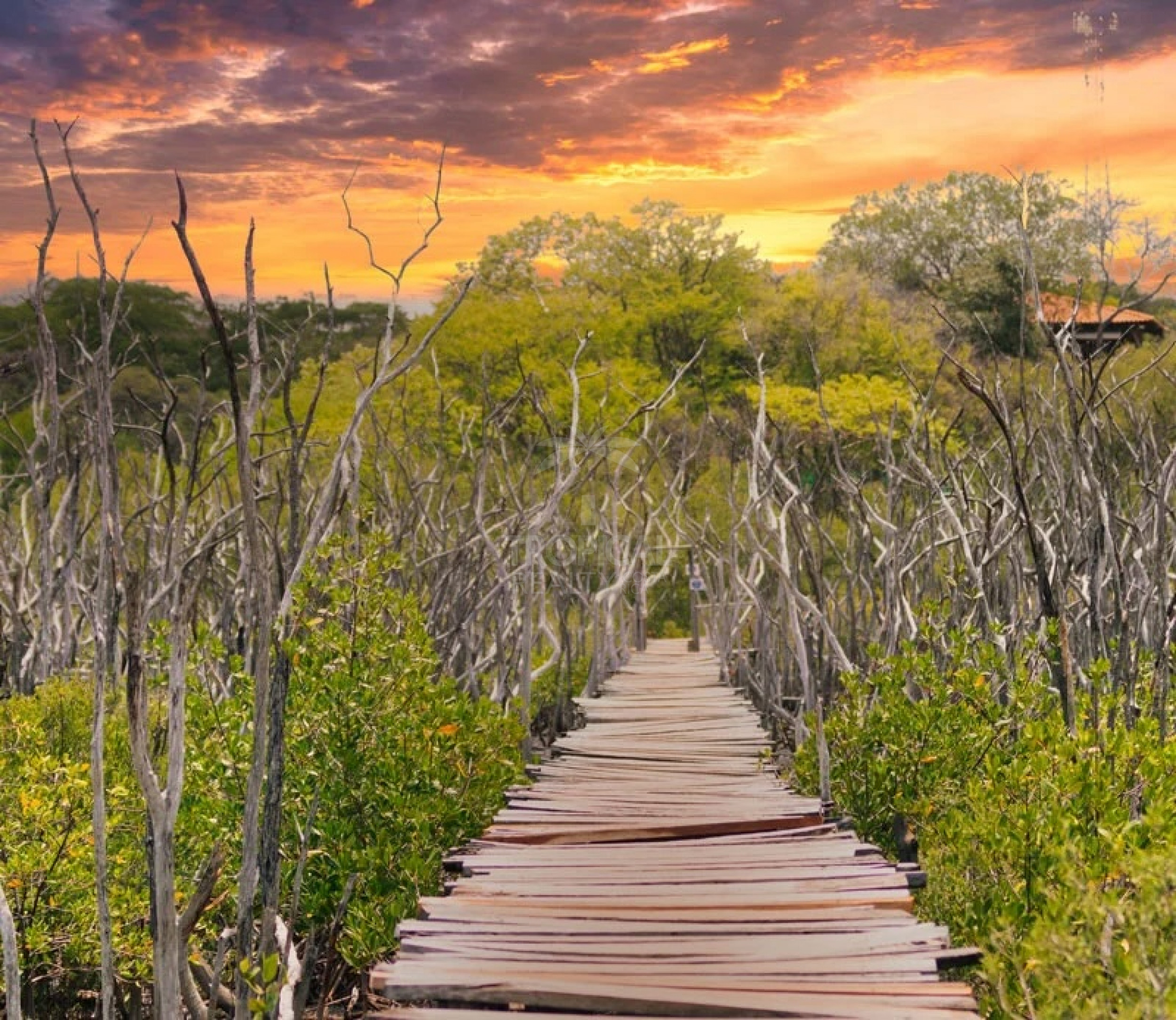 Luxury Homesites for Sale at One Hacienda Pinilla, Guanacaste, Costa Rica