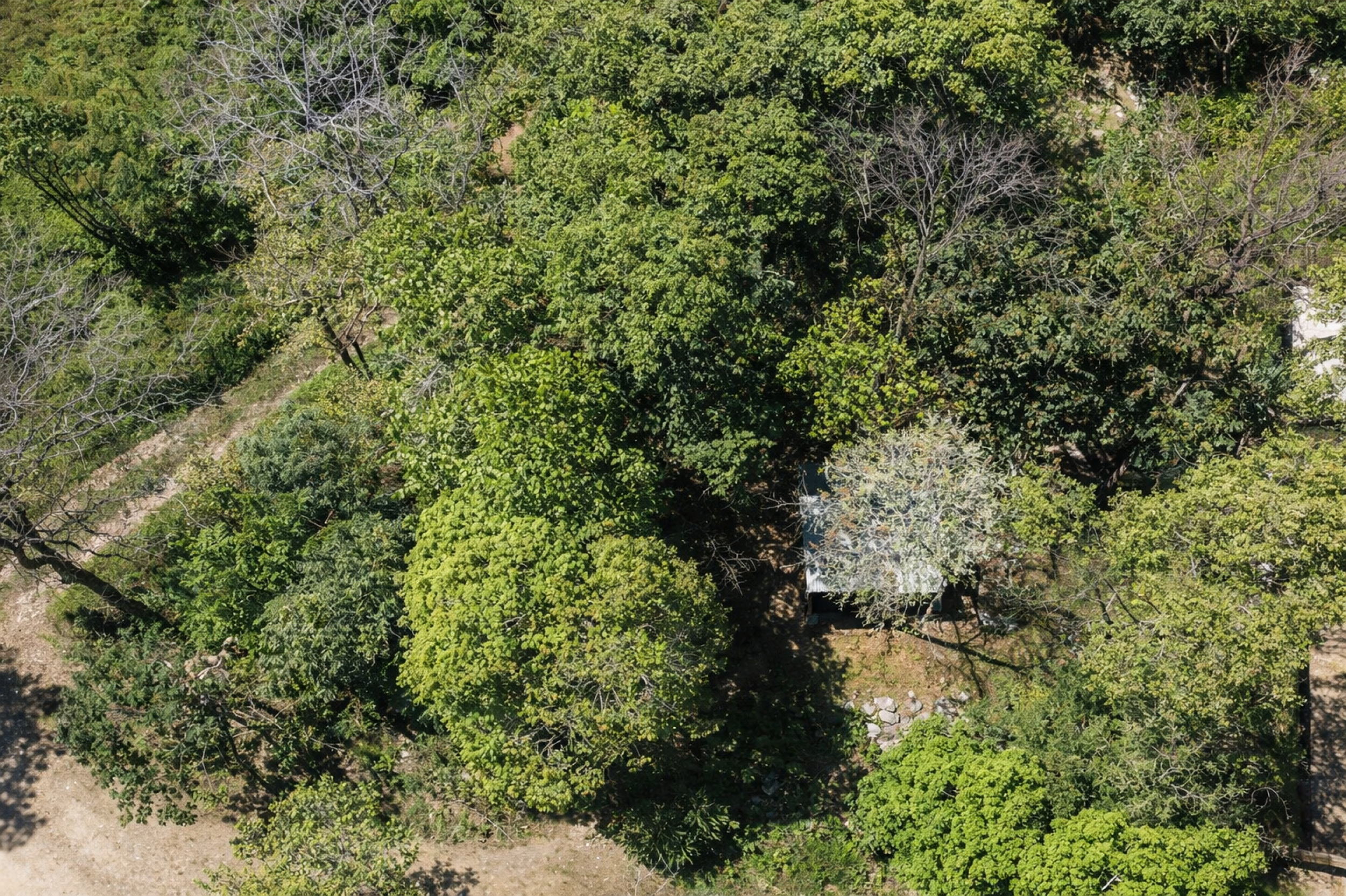 Investment Opportunity in Santa Teresa – Prime Development Potential