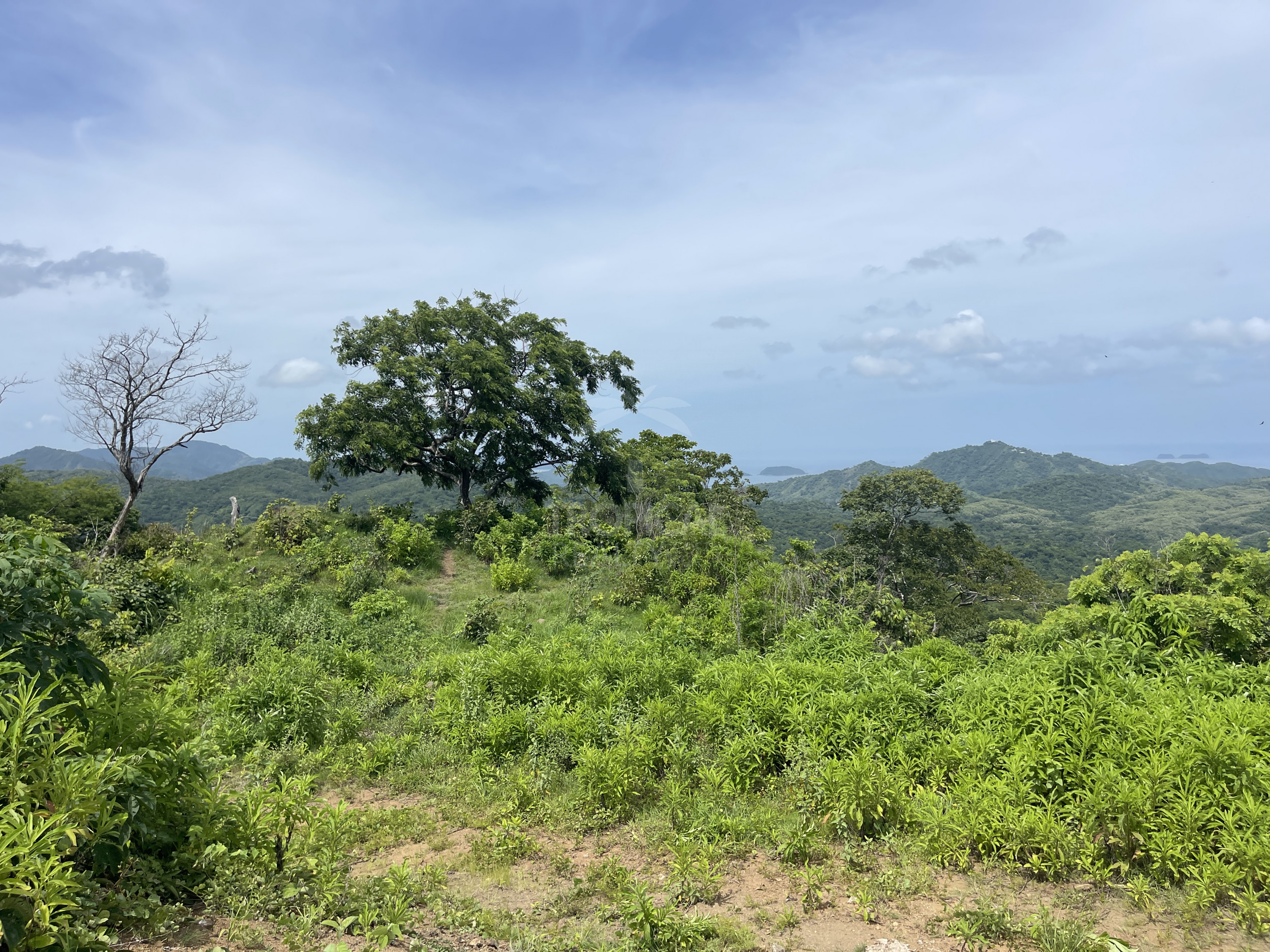 Nuevo Colon 1,24 acres - 5000m2 Estate with Panoramic Ocean Views in Guanacaste
