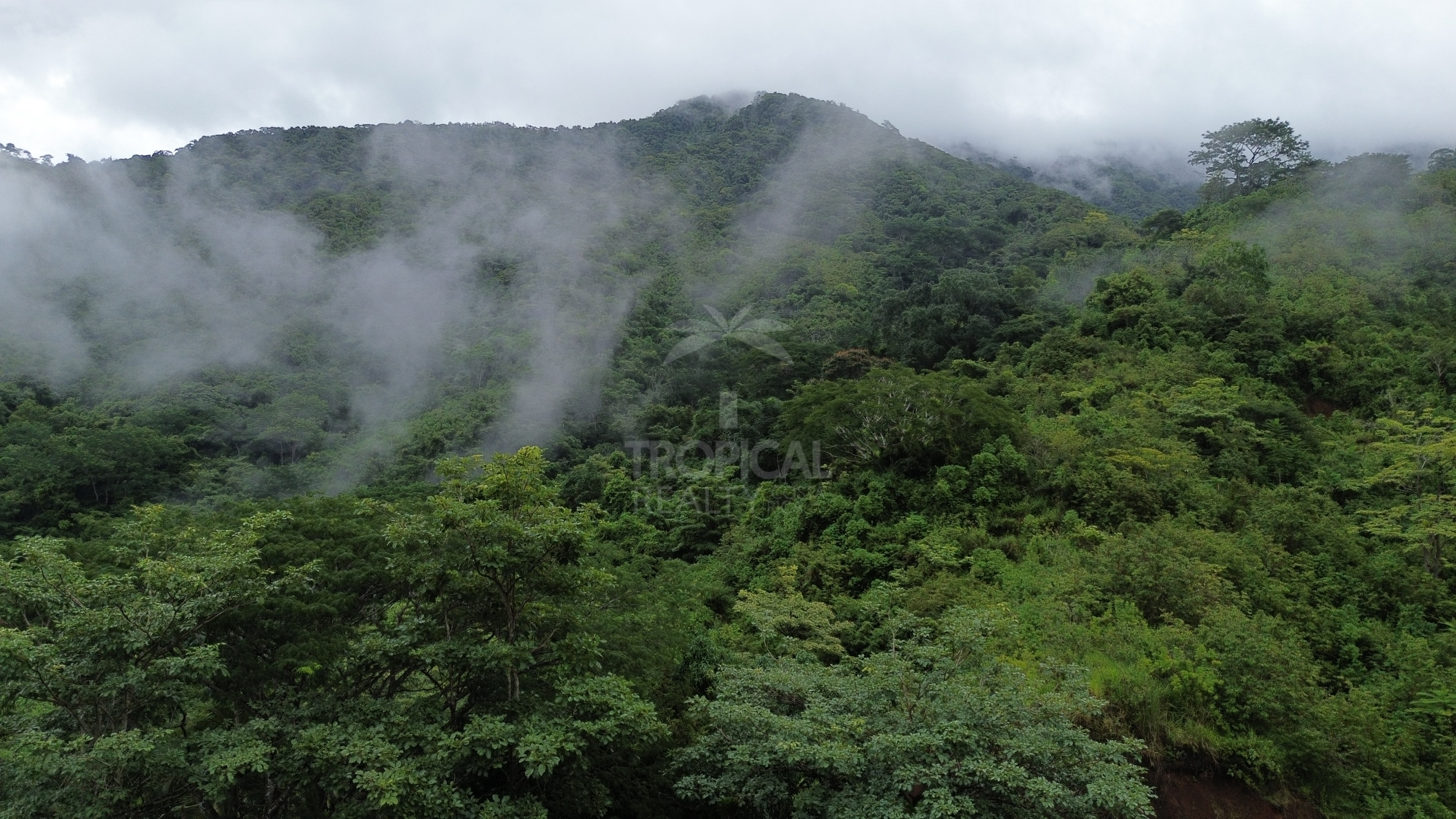 210-Hectare Farm for Sale in Tulín, Puriscal | 519 acres