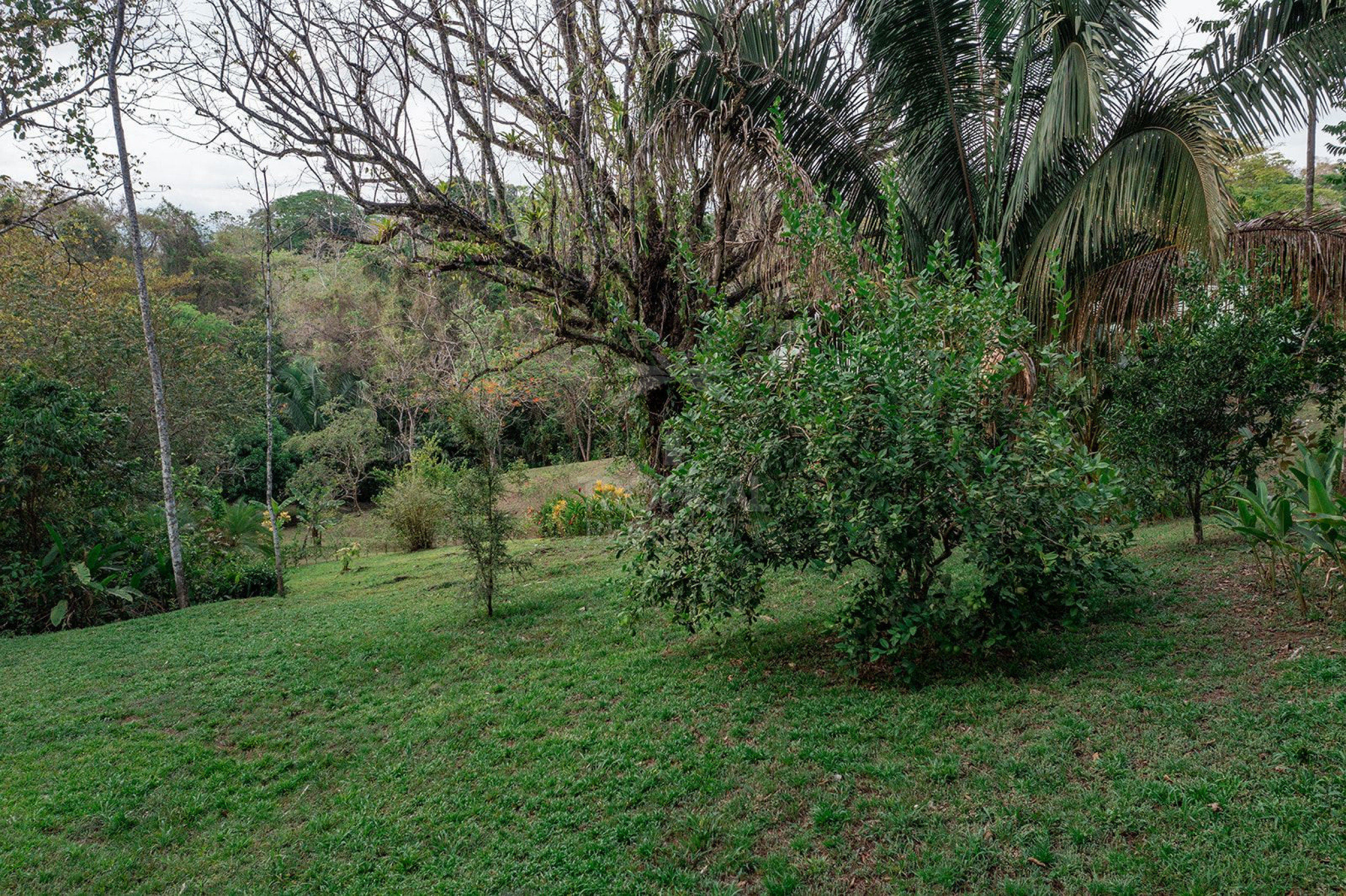Dream Property in Hacienda Okhra | $595,000 USD