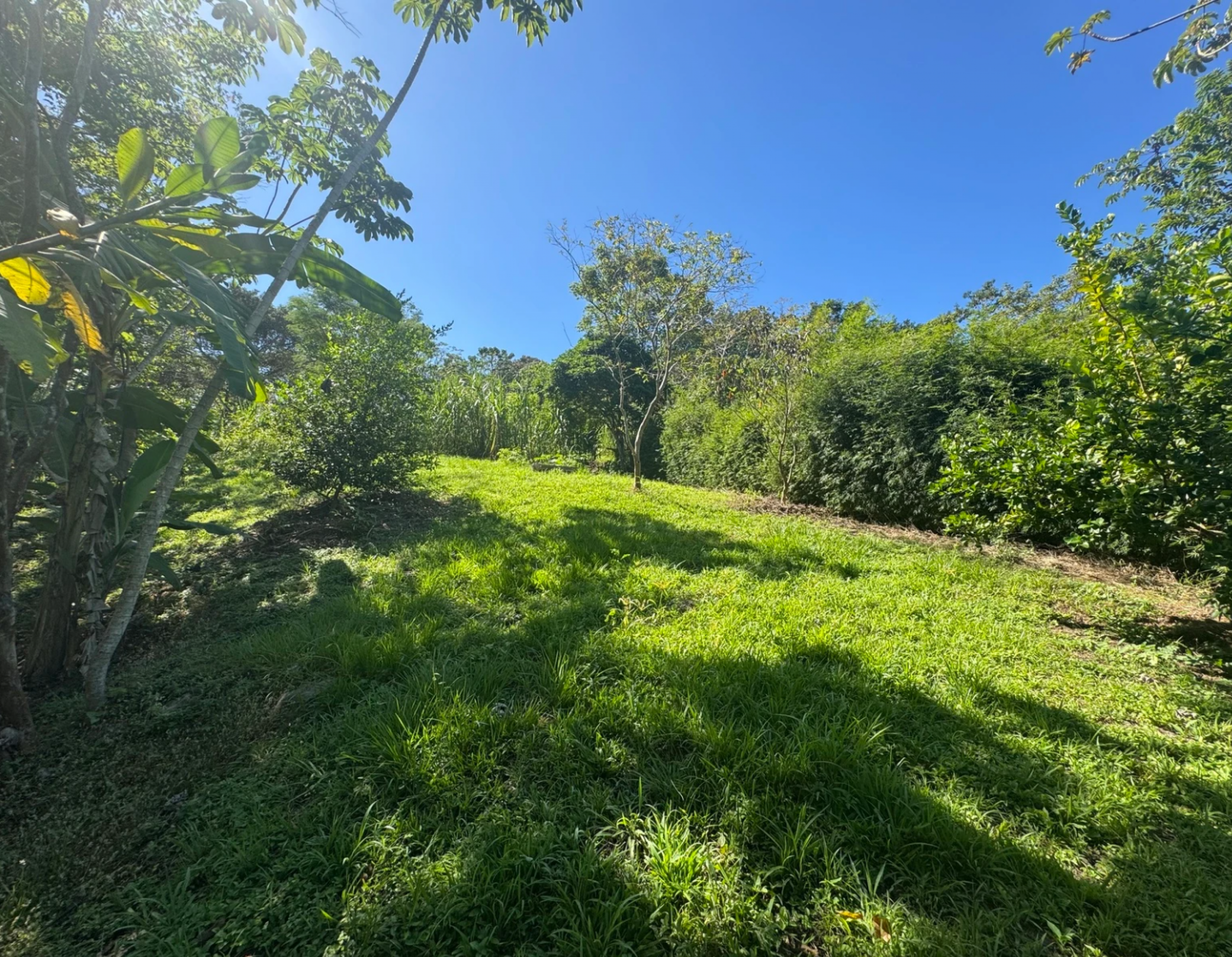 1,527 m² Lot in La Palmita – Nature & Close to Playa Hermosa
