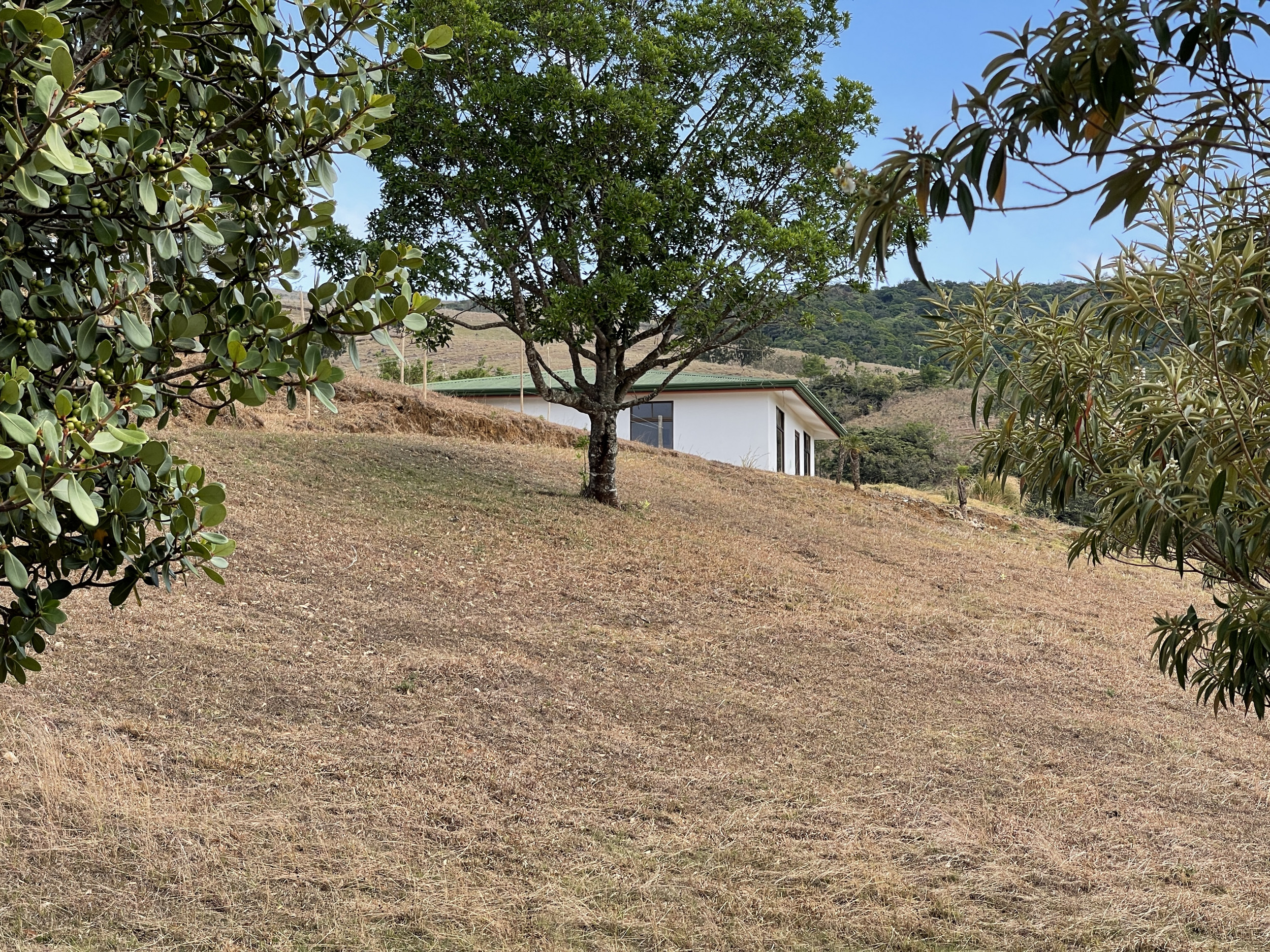 Last Chance: Scenic Lot in San Ramón for Only $69,000 – Urgent Sale!