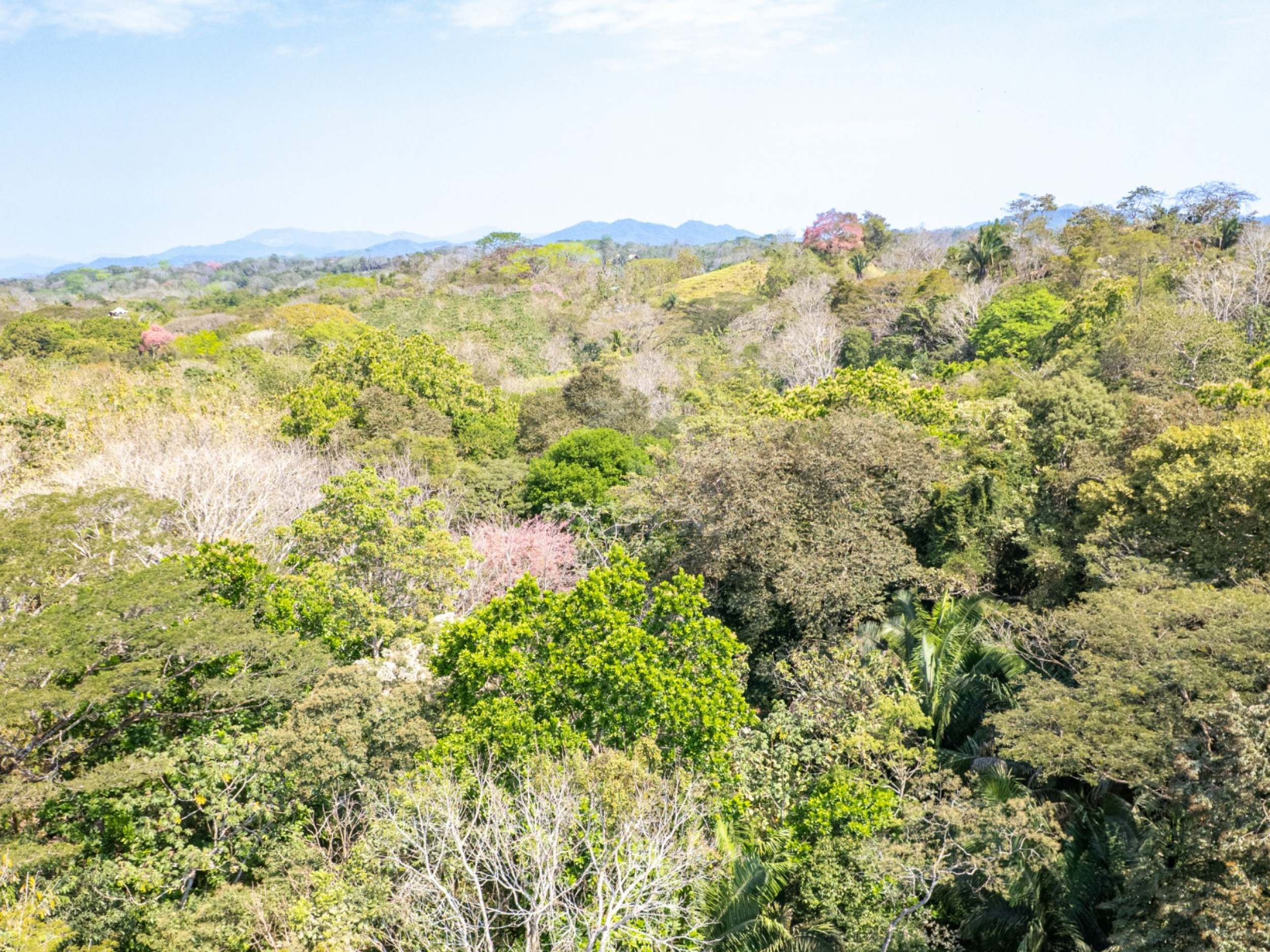 5,328 m² Lot in Santiago Surrounded by Nature – Minutes from Playa Hermosa & Santa Teresa