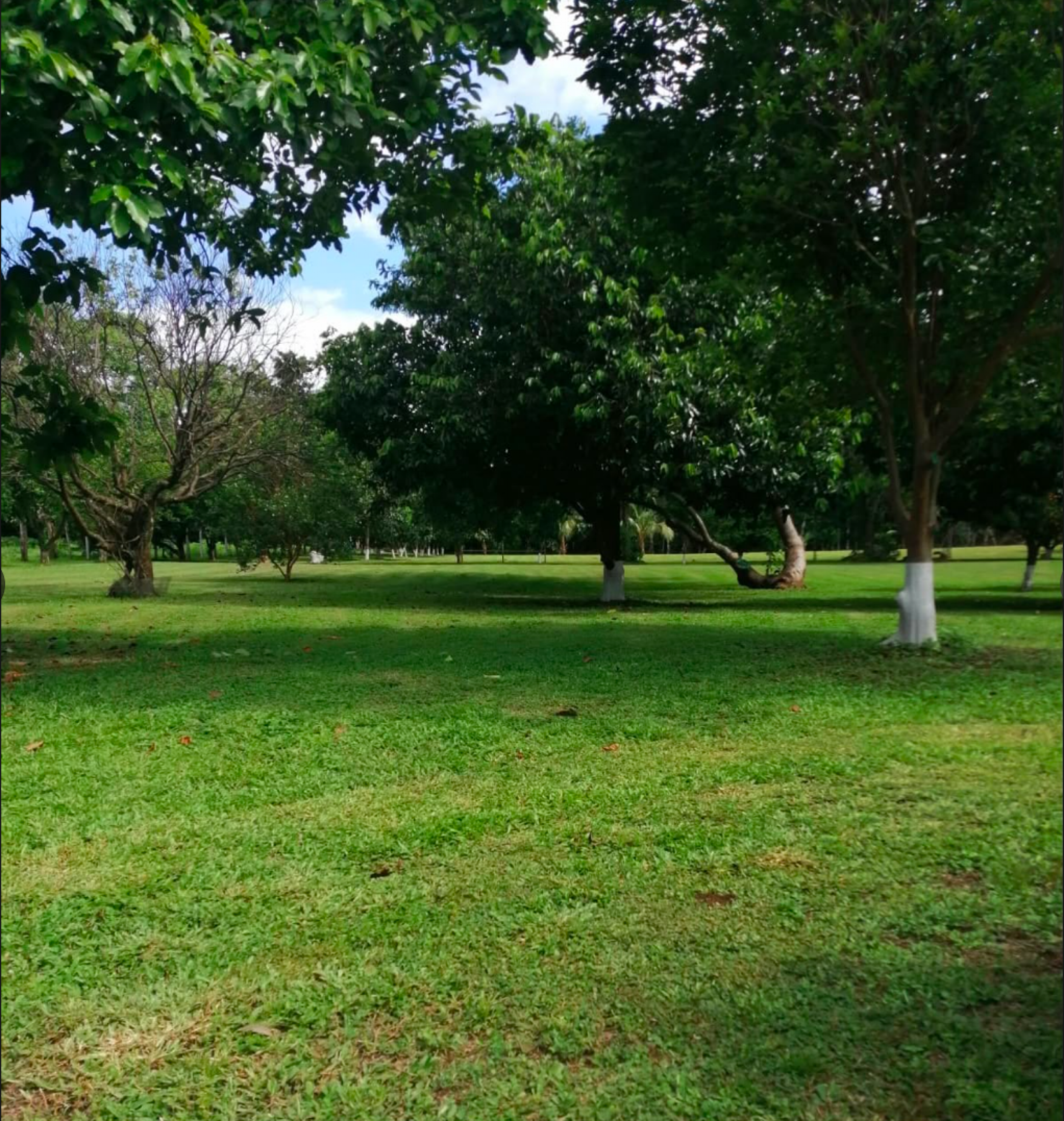 Country Estate for Sale in San Pablo de Turrubares – Nature, Privacy and Investment Potential