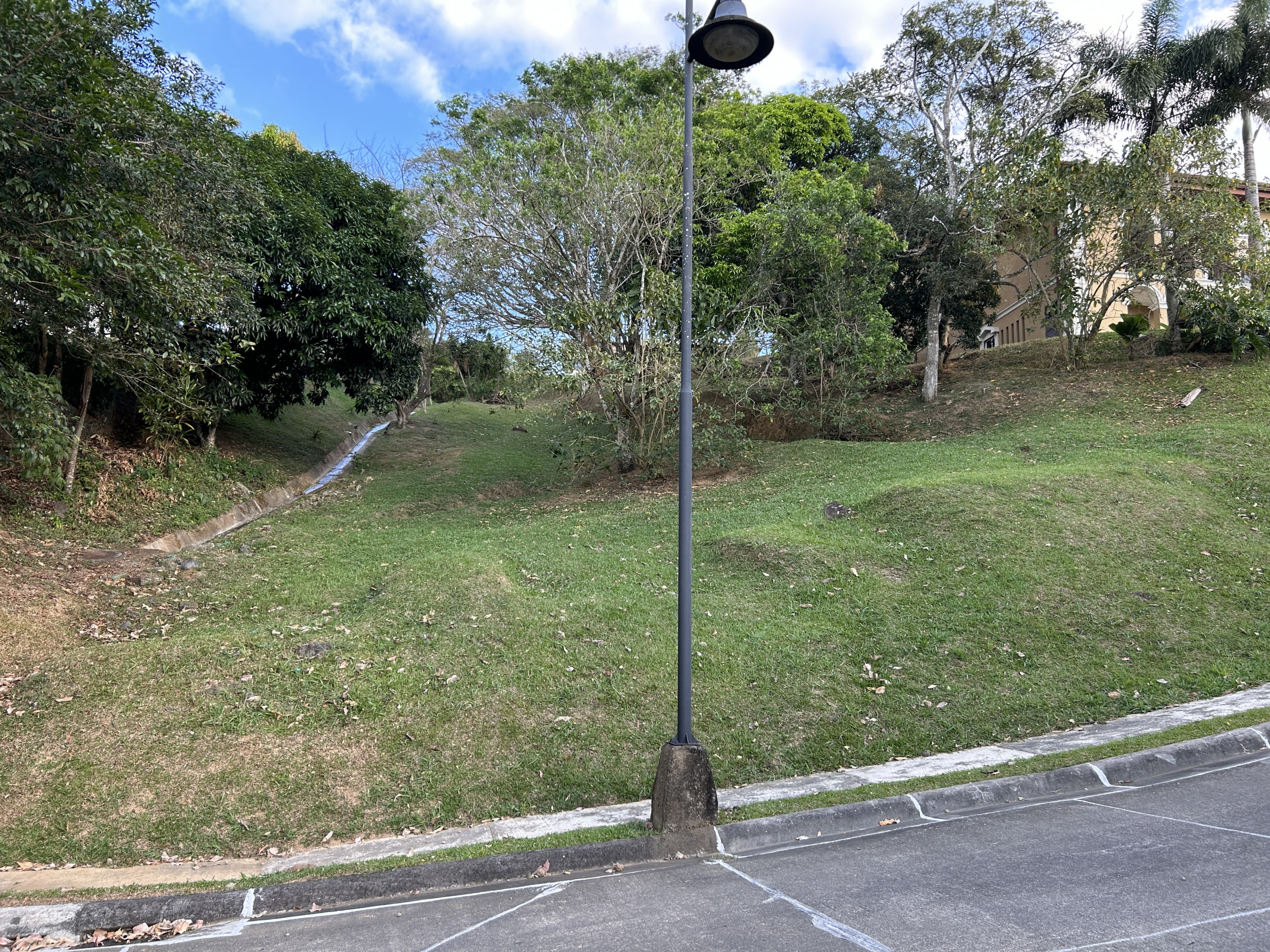 Prime Plot in Cerro Colon Gated Community: Nature, Luxury, and Limitless Potential
