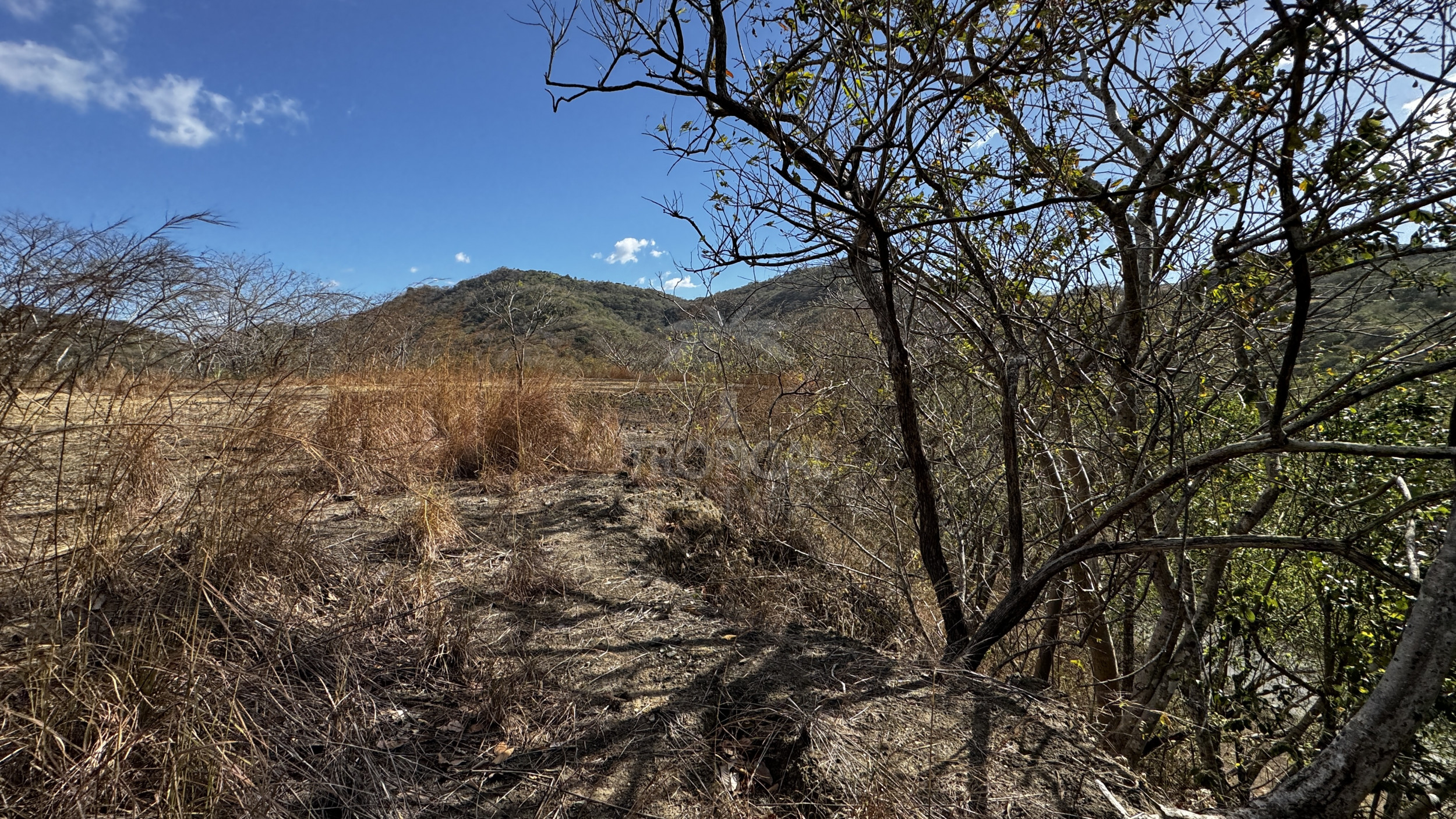 1.4 Hectares in Nuevo Colón, Guanacaste – 92 m Road Frontage