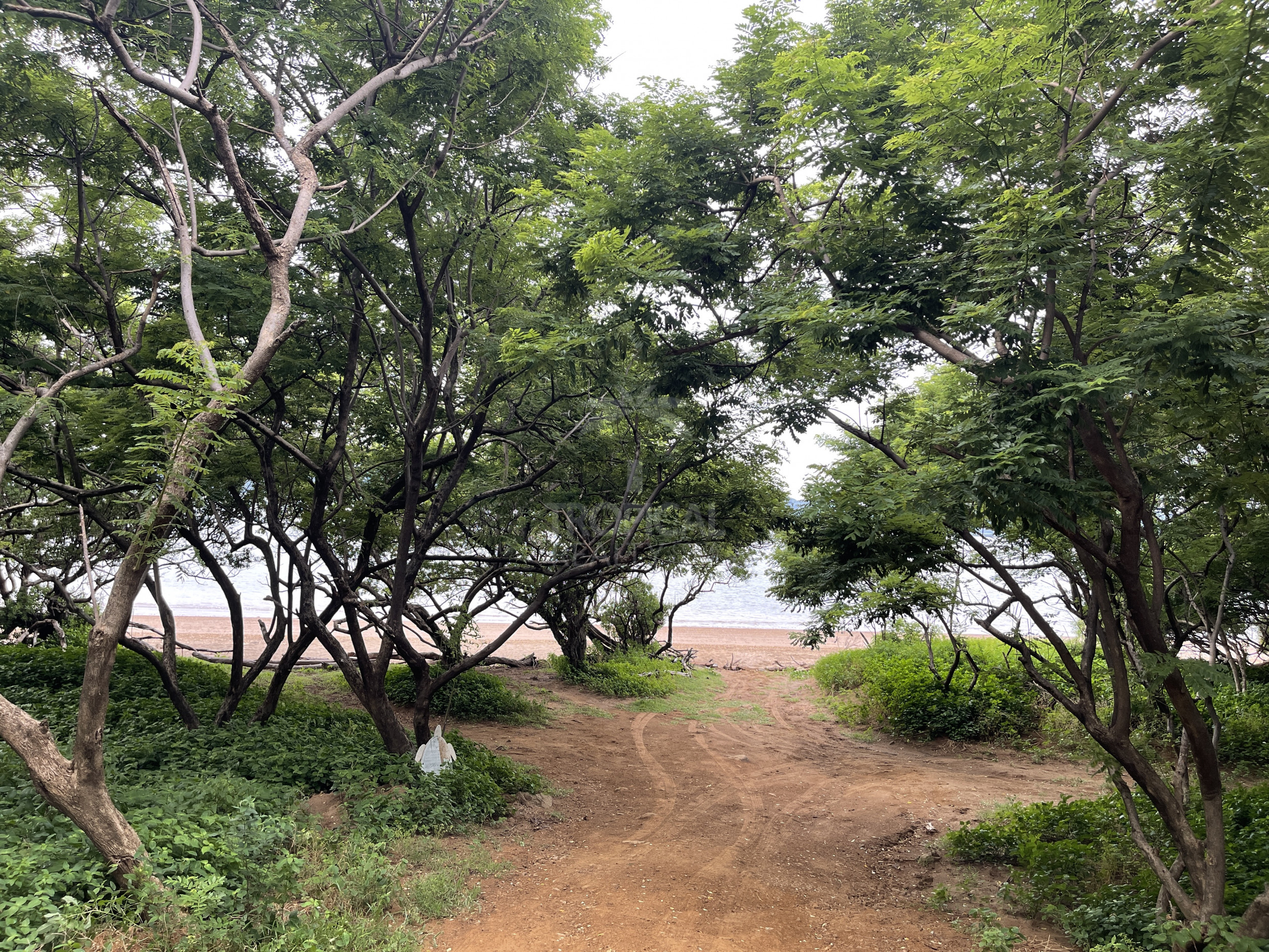 Strategic Investment in Guanacaste – Prime Lot Just 1 km from Playa Copal SOLD
