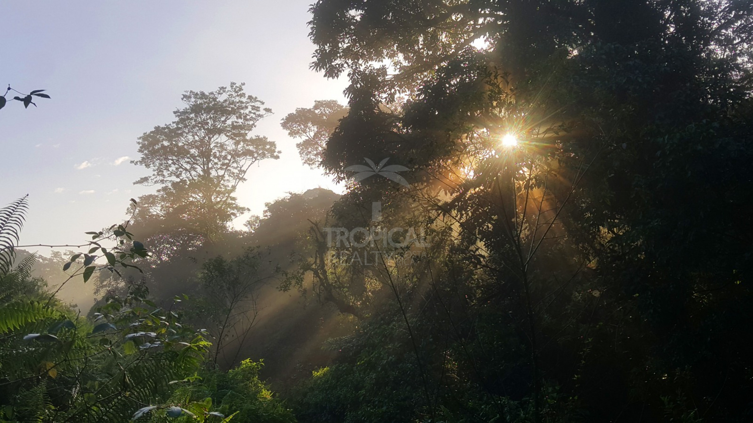 For Sale: Nature Lover’s Paradise in Sarapiquí – 24.7 Acres with Two Rivers | Bijagual, Heredia