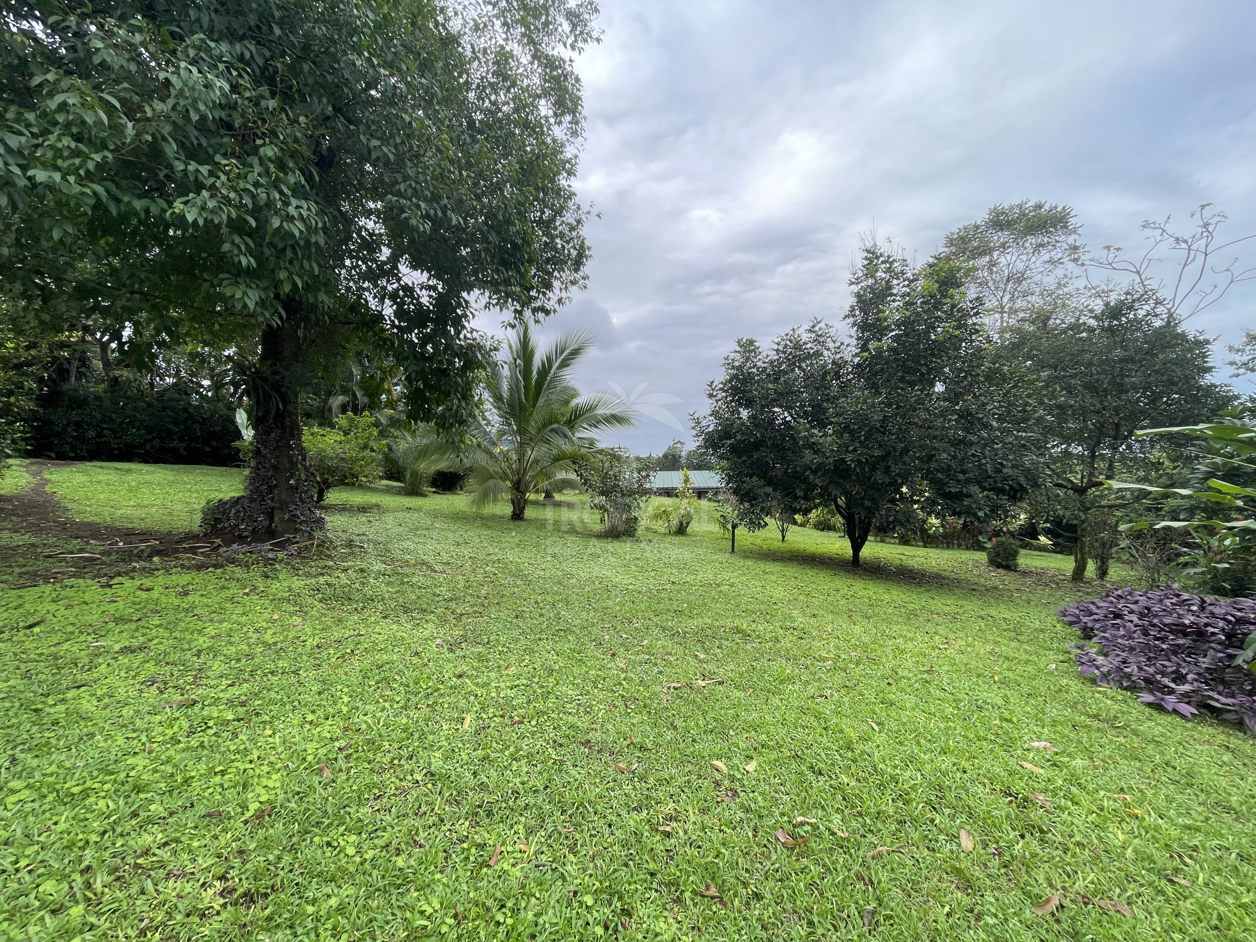 Own a Slice of Paradise in La Fortuna Arenal – Perfect for Living or Investing!