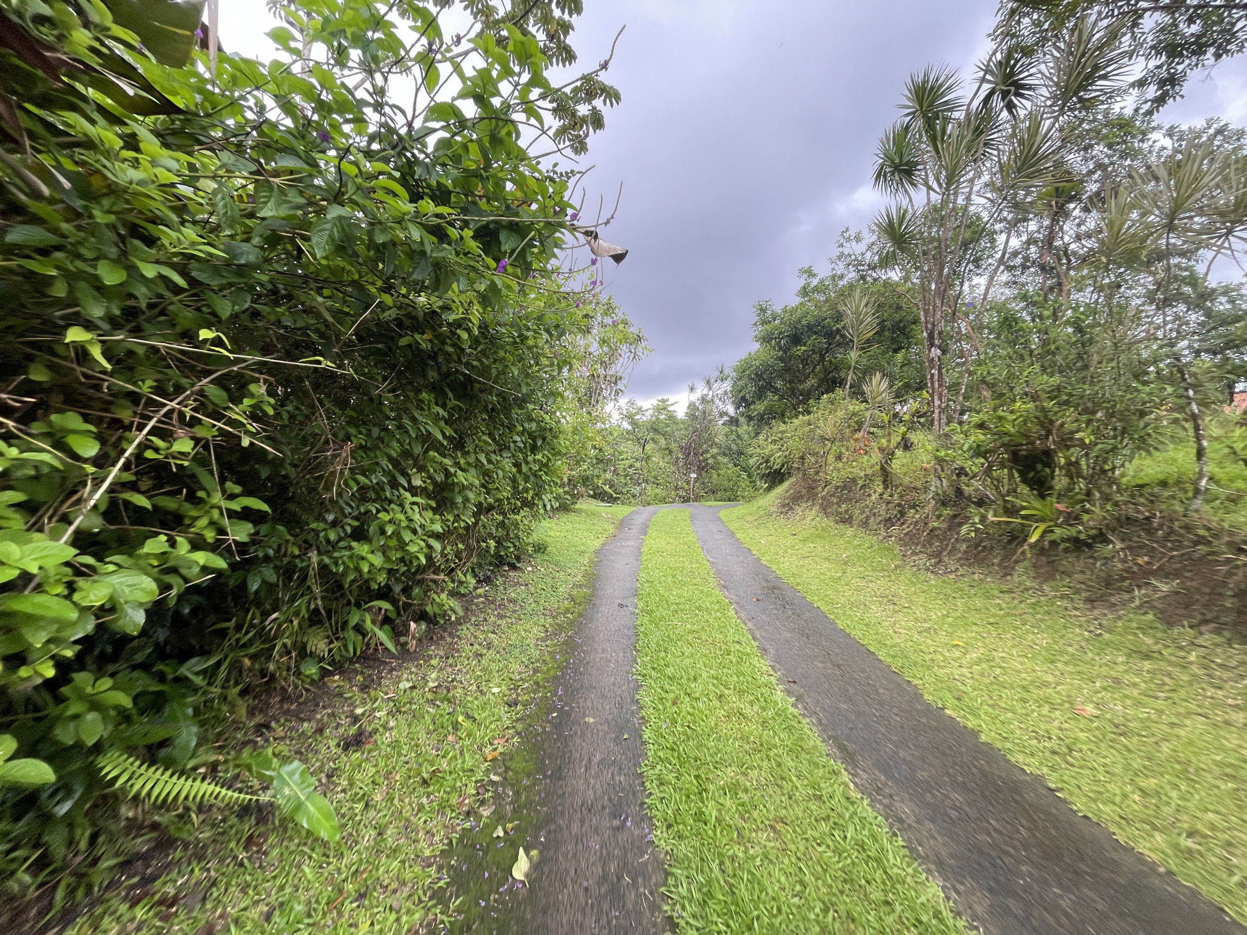 65-Acre Lakeview Property in Nuevo Arenal, Ideal for Family Residential Development