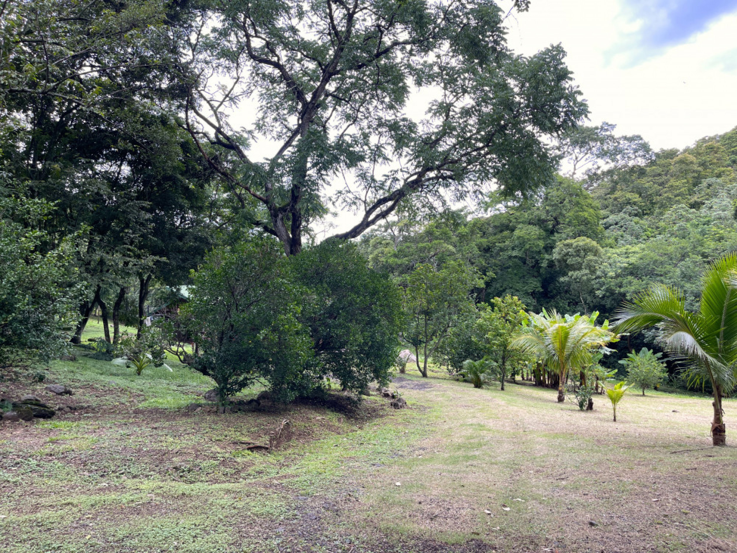 Dreamy Natural Retreat with Private River and Fruit Trees – Turrúcares, Costa Rica