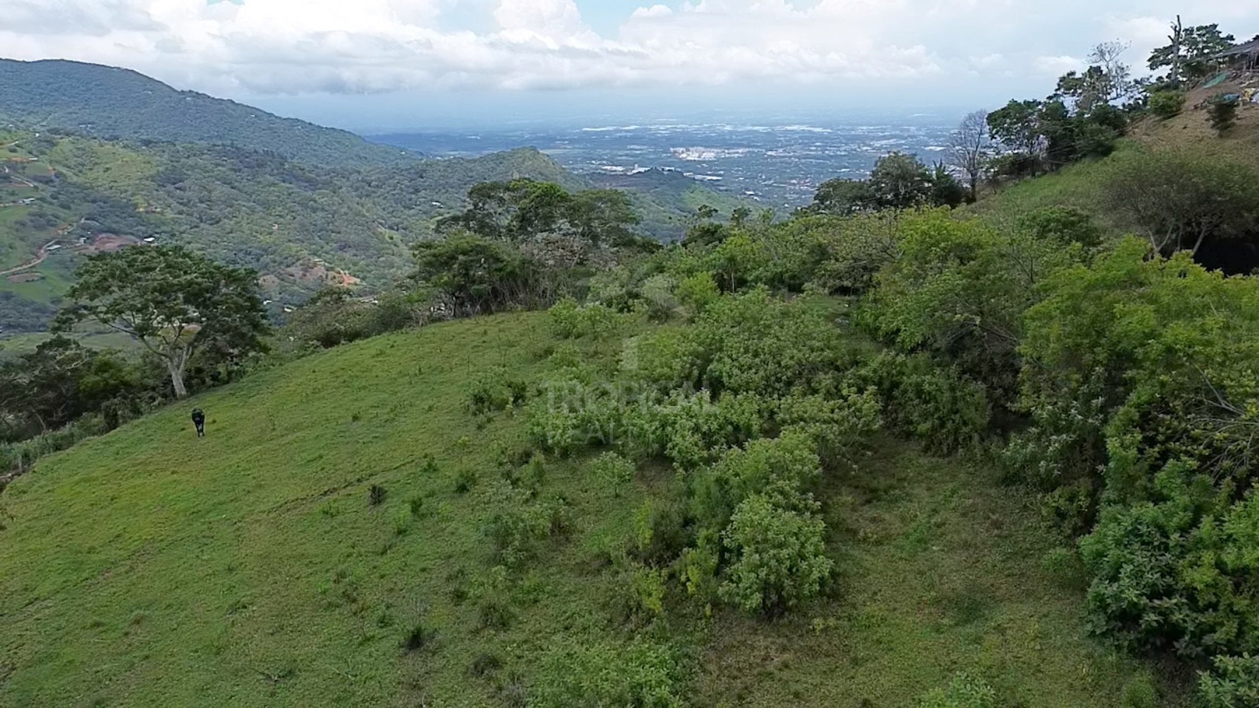 Lote de 11,000 m² (2.72 Acres) en Venta en Salitral de Santa Ana, Carretera a Escazú