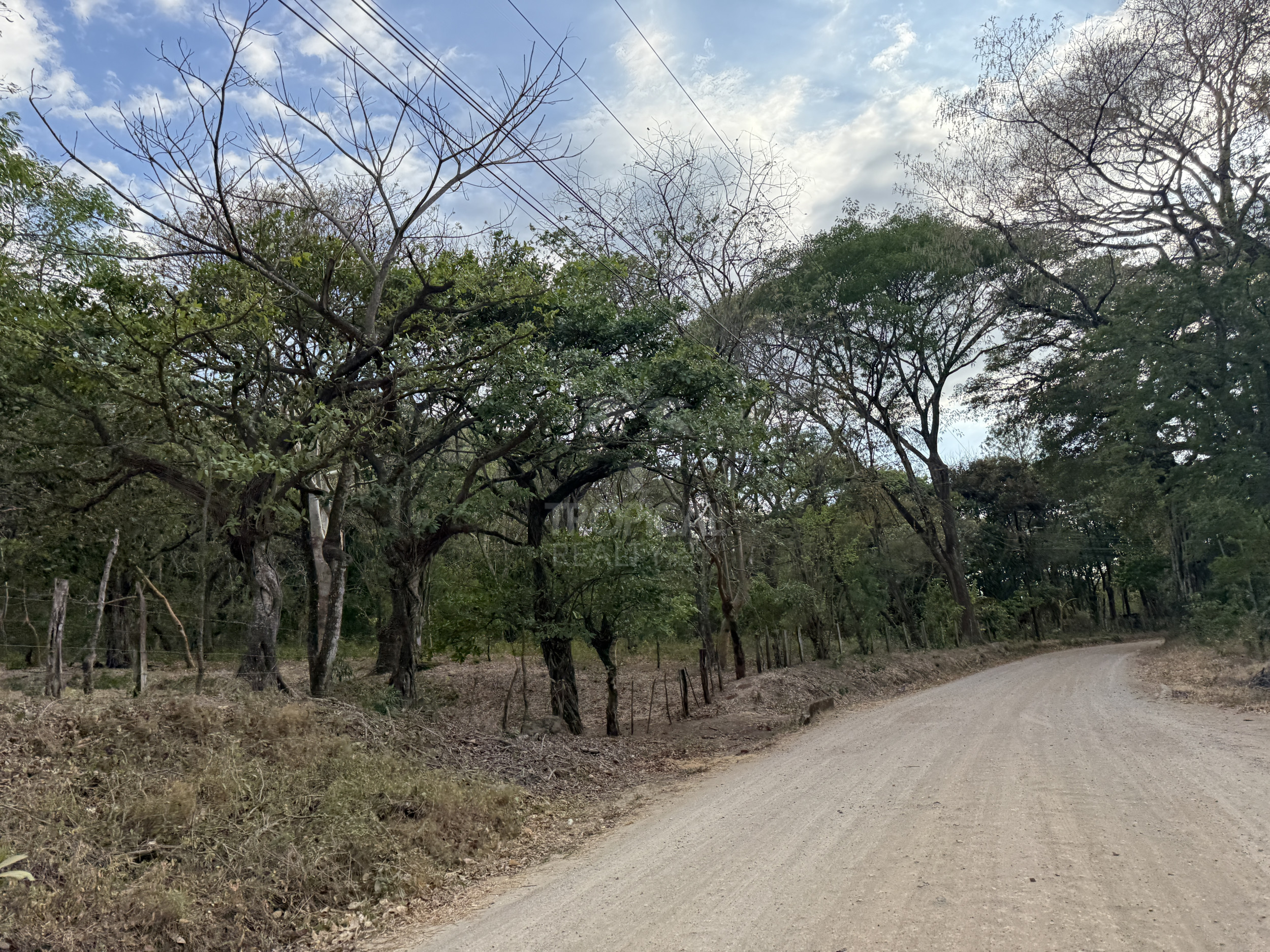 153-Hectare Ranch for Sale in Santa Cruz, Guanacaste – Natural Springs, Forest & Development Potential | $1,000,000