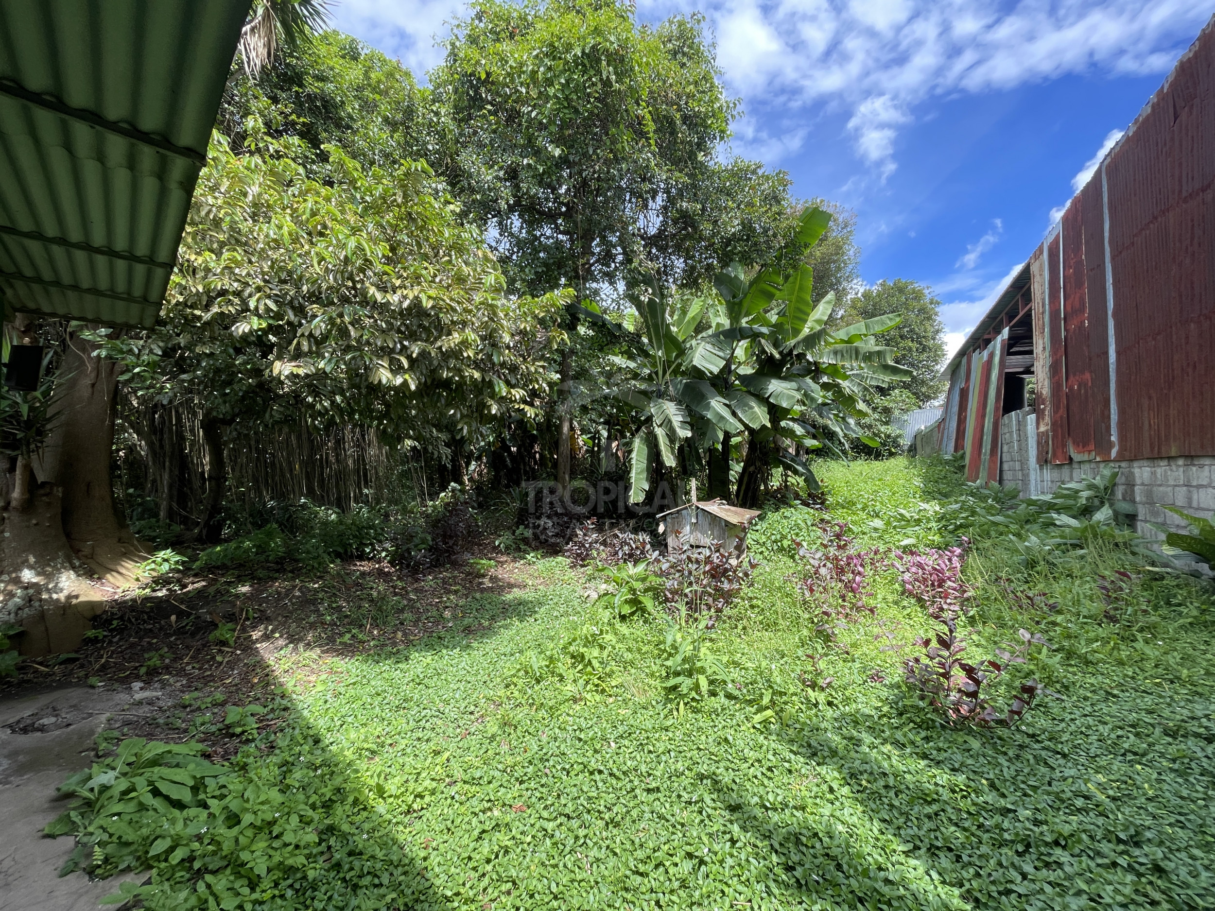 Lot for Sale in Guadalupe, Barrio Pilar on 53rd Street – Ideal for Commercial, Residential, or Institutional Development