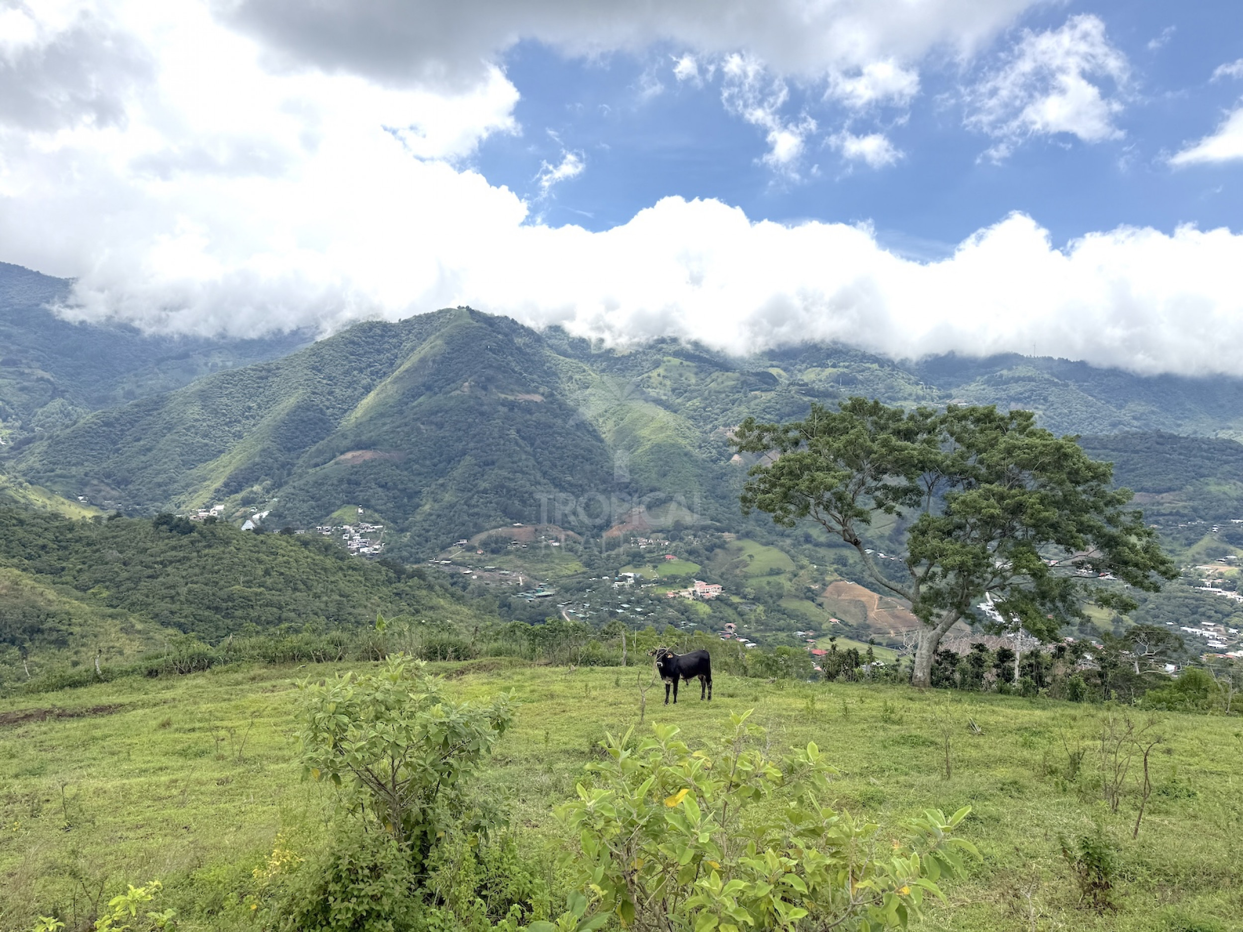 Lote de 11,000 m² (2.72 Acres) en Venta en Salitral de Santa Ana, Carretera a Escazú