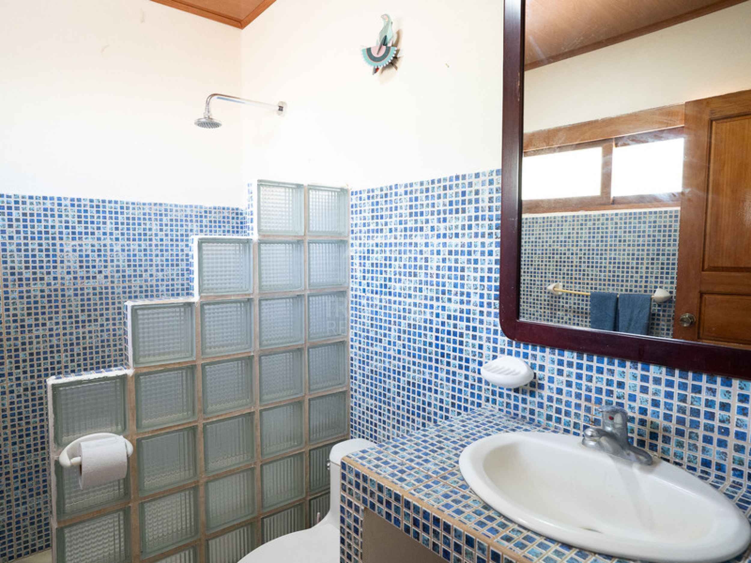 Buddha Apartments – Turnkey Hospitality Investment Steps from the Beach in Santa Teresa