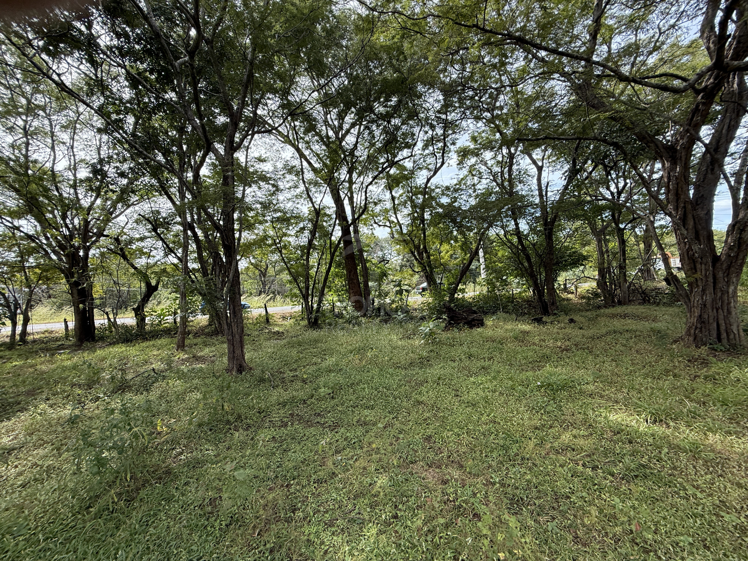 Commercial Lots - Villa Real Near Tamarindo – Main Road Frontage