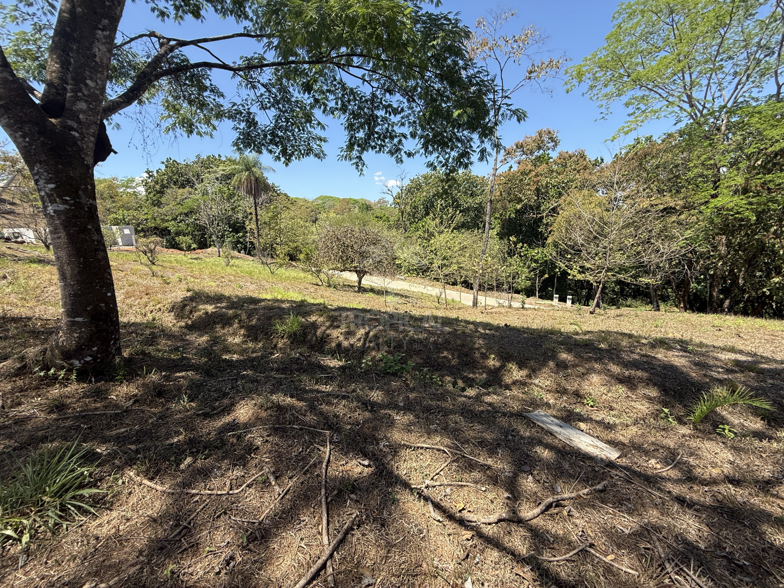 Corner Lot for Sale in Ecovilla San Mateo – Nature, Community & Conscious Living