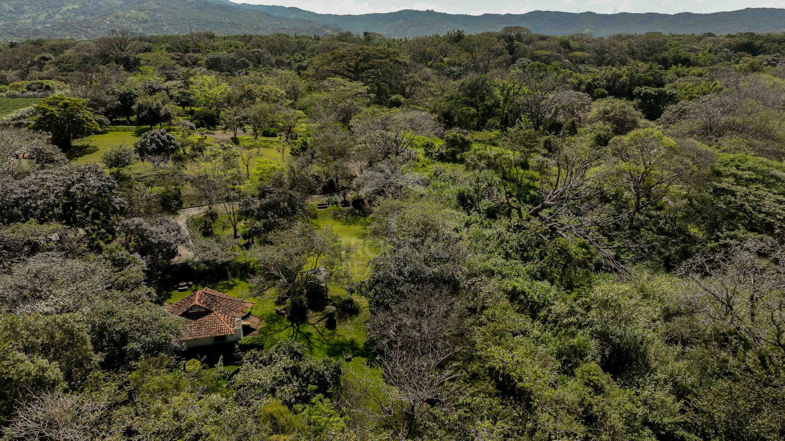 Prime Land for Development – La Guácima
