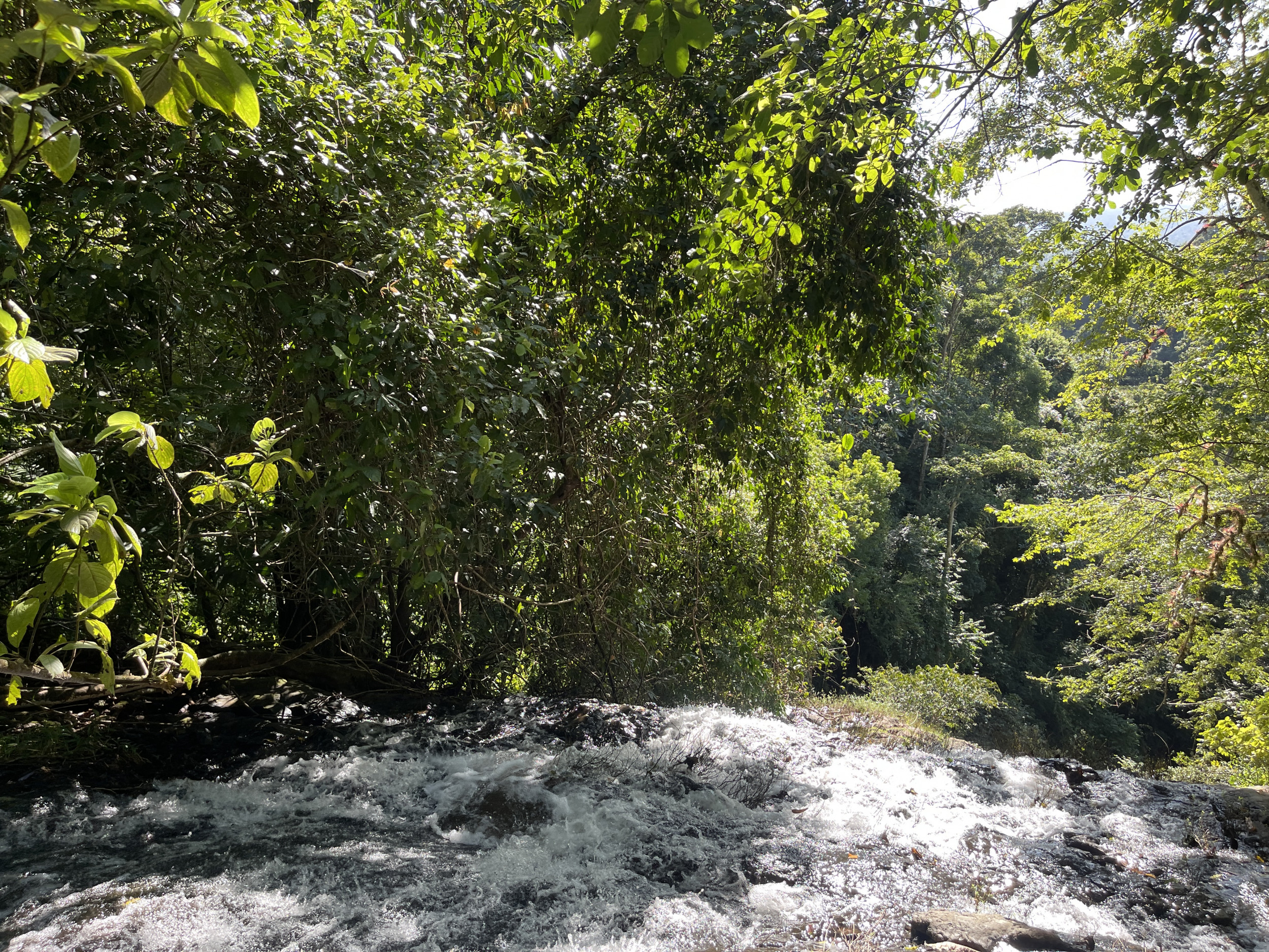 Spectacular Farm for Sale in Cobano, Puntarenas: Ocean Views to Santa Teresa, Lush Nature, and Included Waterfall