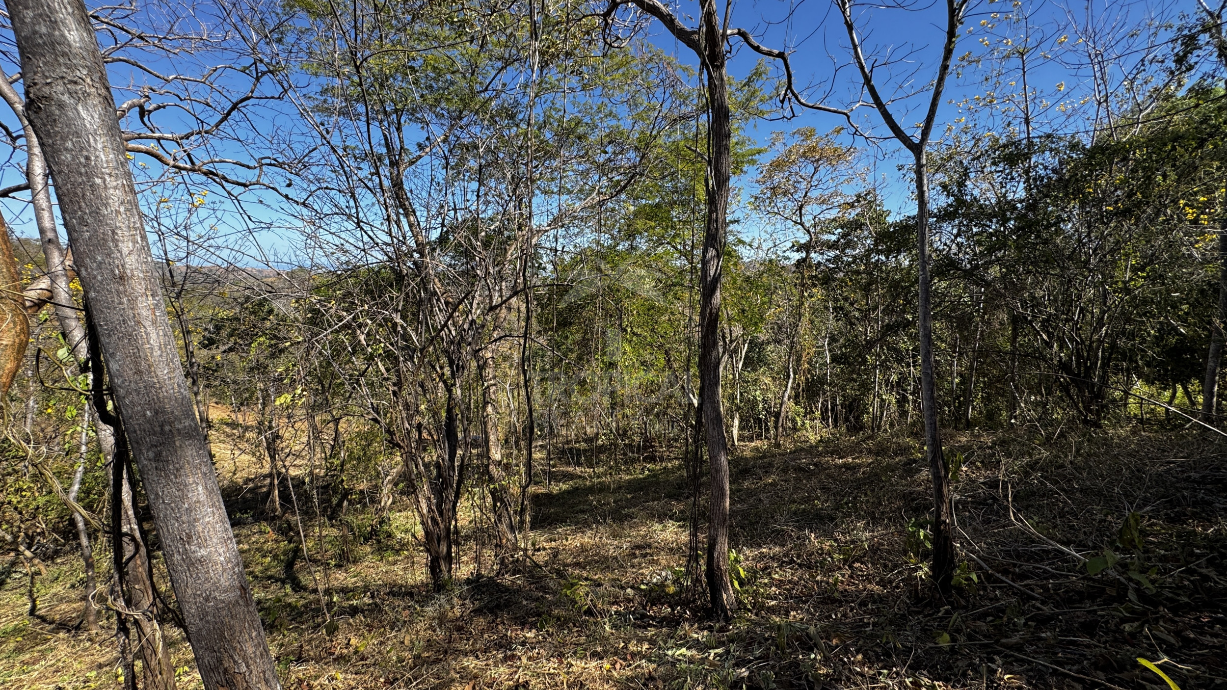 Beach land Parcels from 10,000 m² for $65,000 – Premium Property Near Coco and Rio Hotel, close to Papagayo, Guanacaste