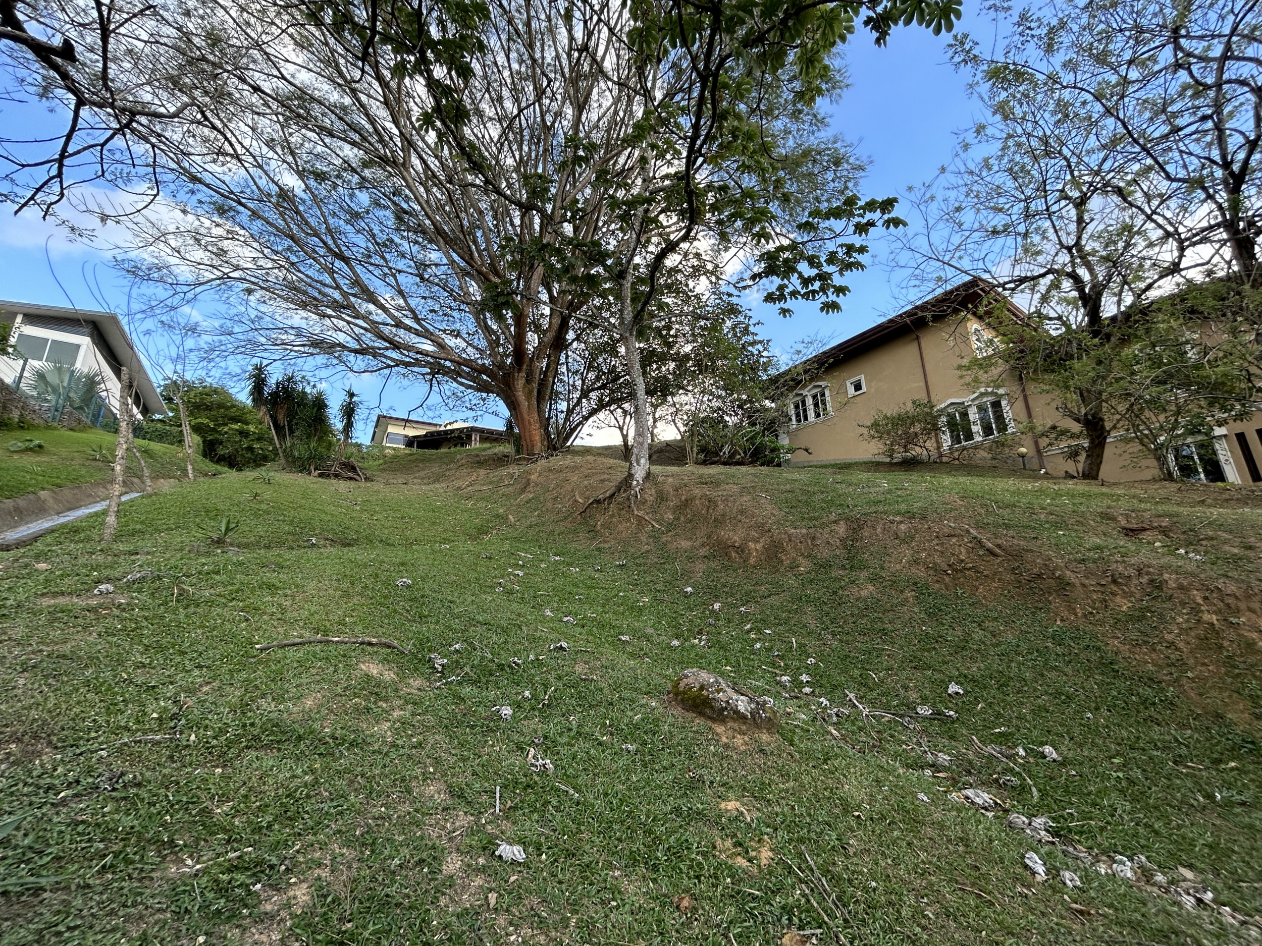 Prime Plot in Cerro Colon Gated Community: Nature, Luxury, and Limitless Potential