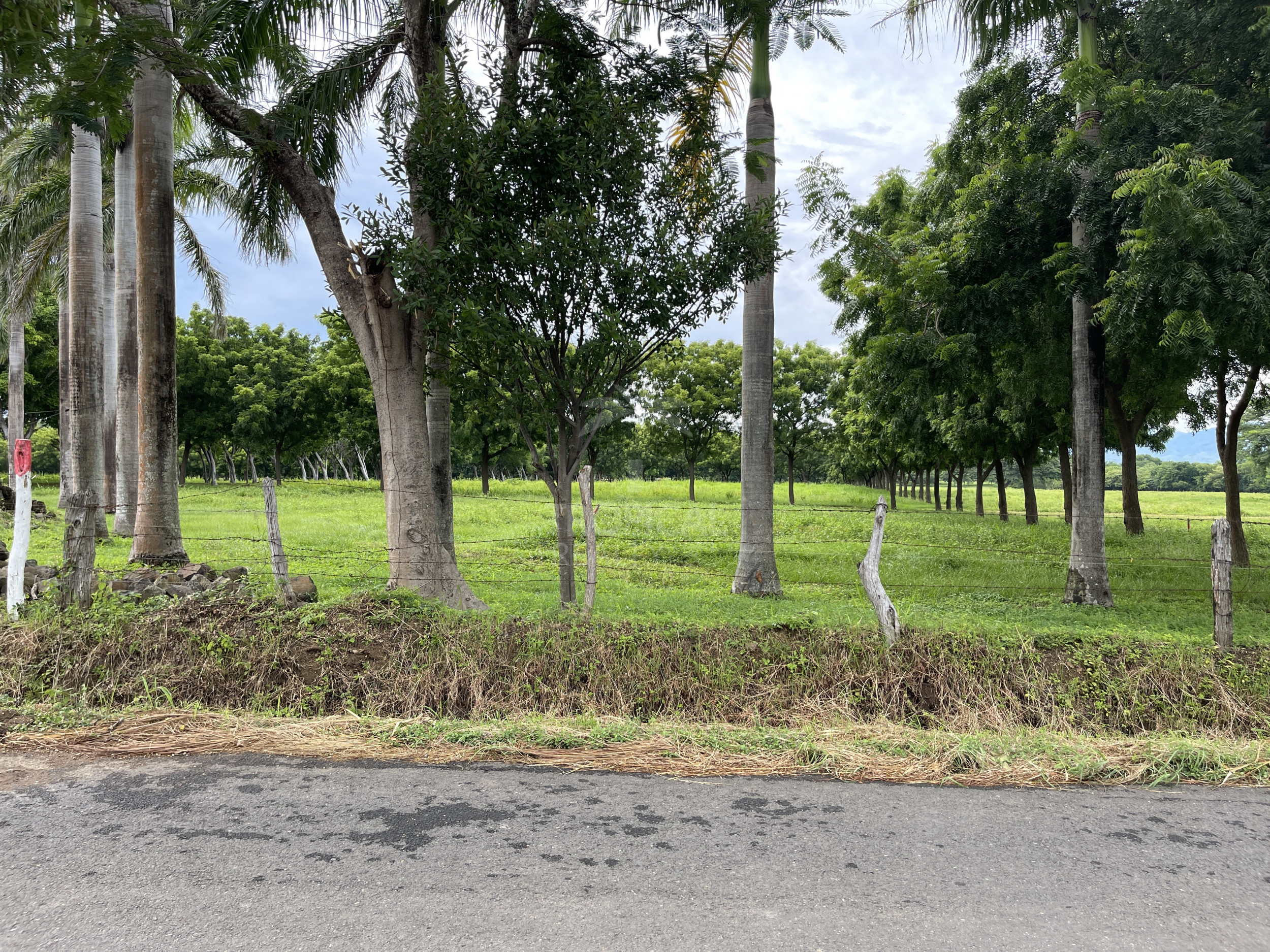 Strategic Investment in Guanacaste – Prime Lot Just 1 km from Playa Copal SOLD