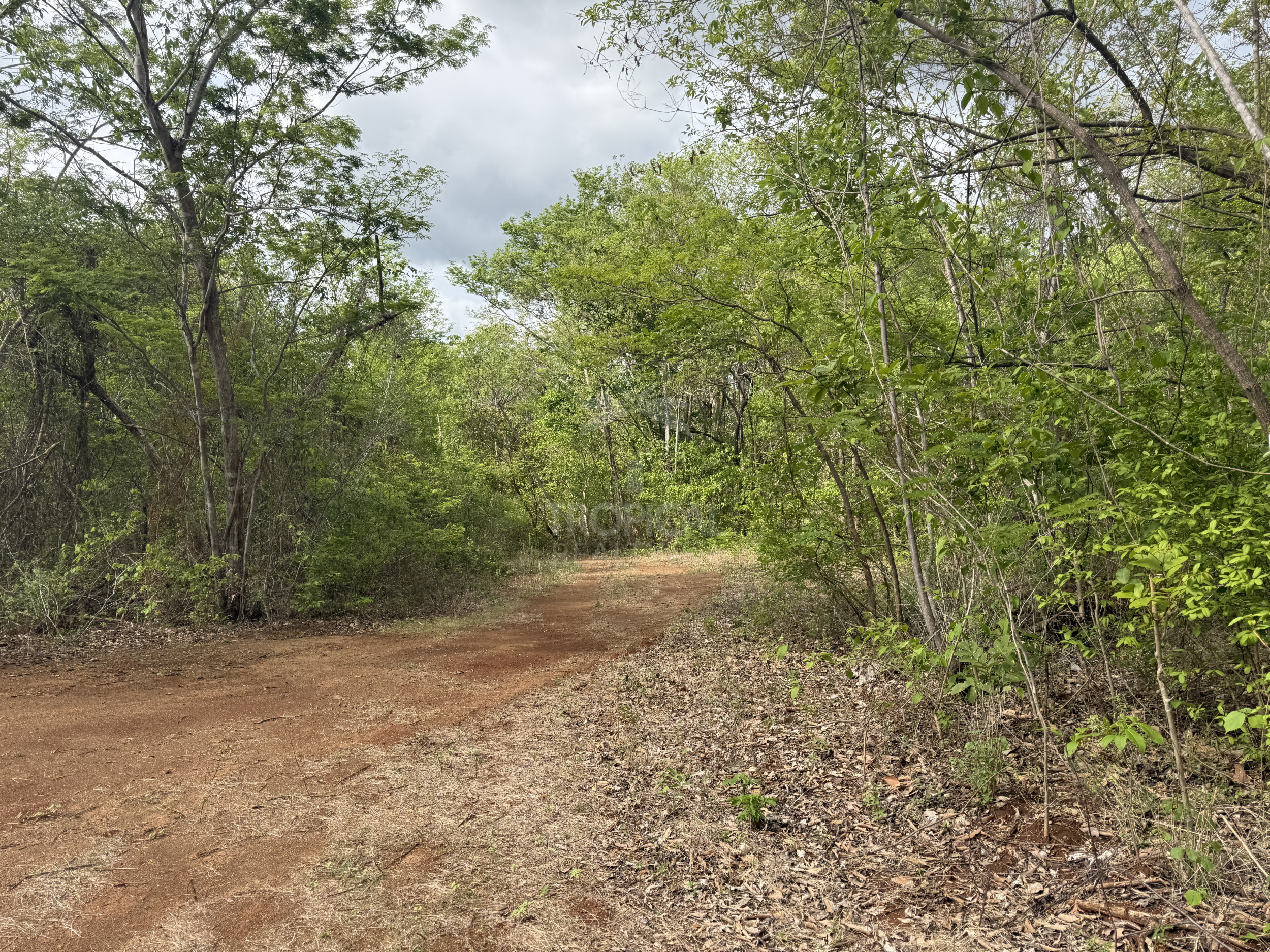 939 Acres Between Playa Flamingo & Tamarindo | Ocean Views | 7 Registered Water Wells