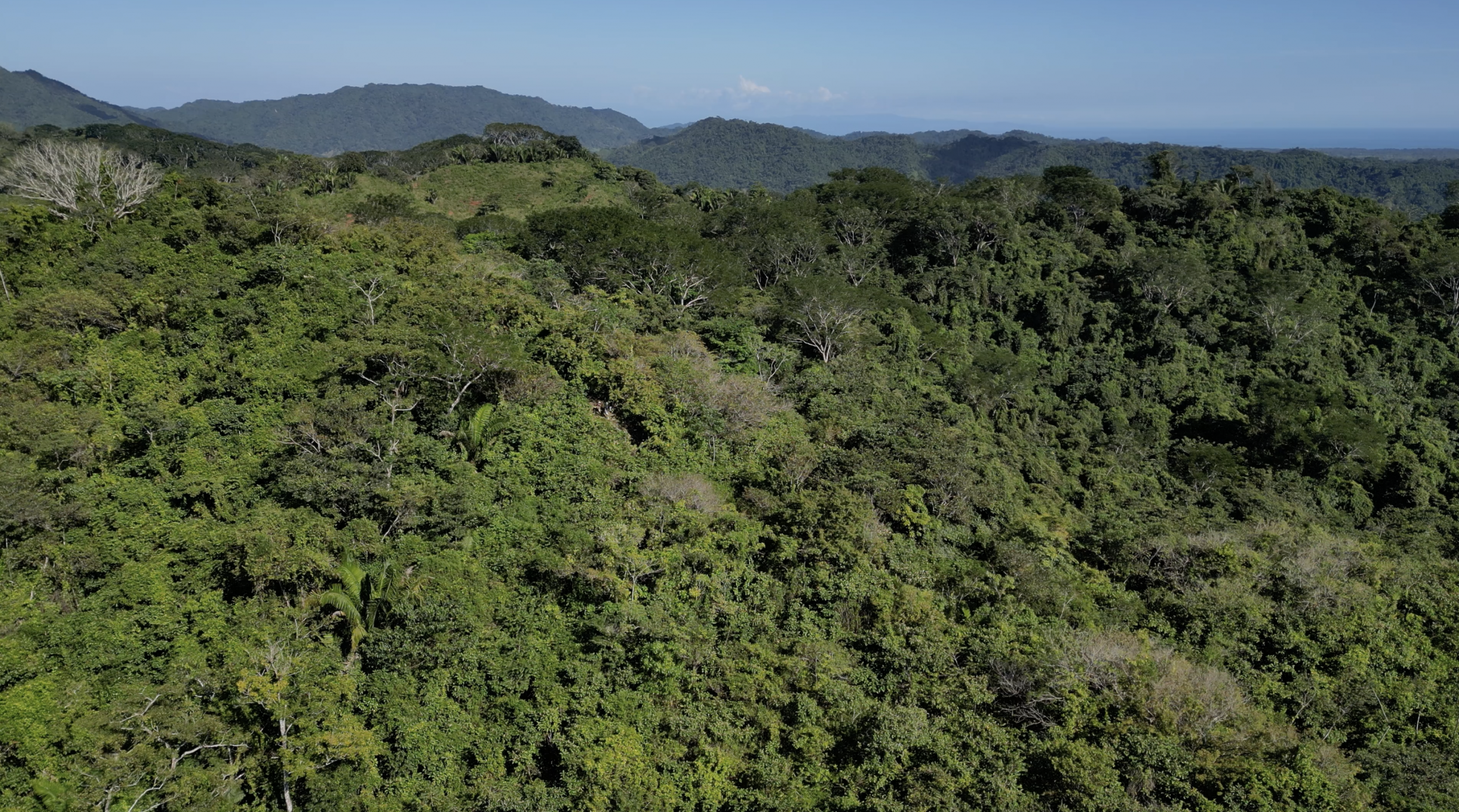 Spectacular Farm for Sale in Cobano, Puntarenas: Ocean Views to Santa Teresa, Lush Nature, and Included Waterfall