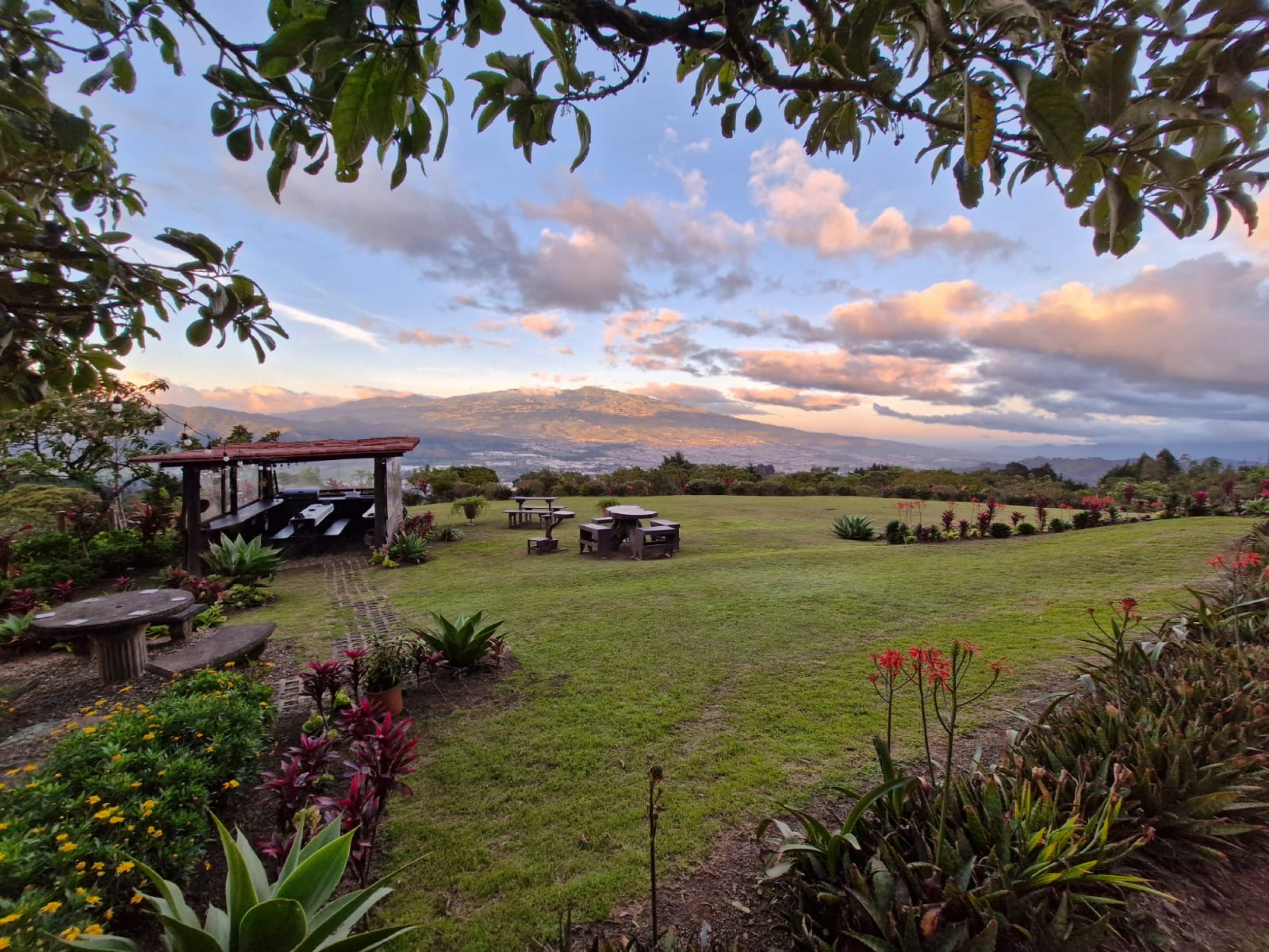 Charming Coffee Retreat Home with Stunning Views and Gourmet Coffee Plantations