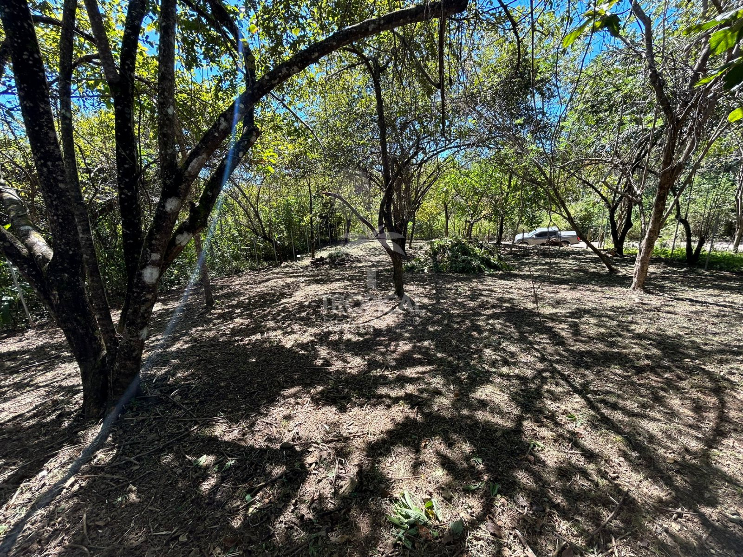 1000m² Lot for Sale in Las Delicias de Cobano: Your Coastal Oasis in Costa Rica.