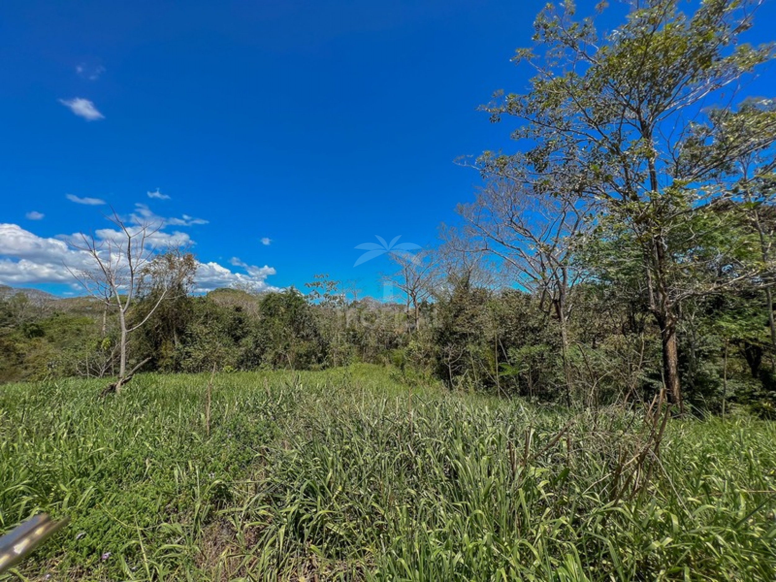 Build-Ready Lot Surrounded by Nature in Santiago – Minutes from Playa Hermosa