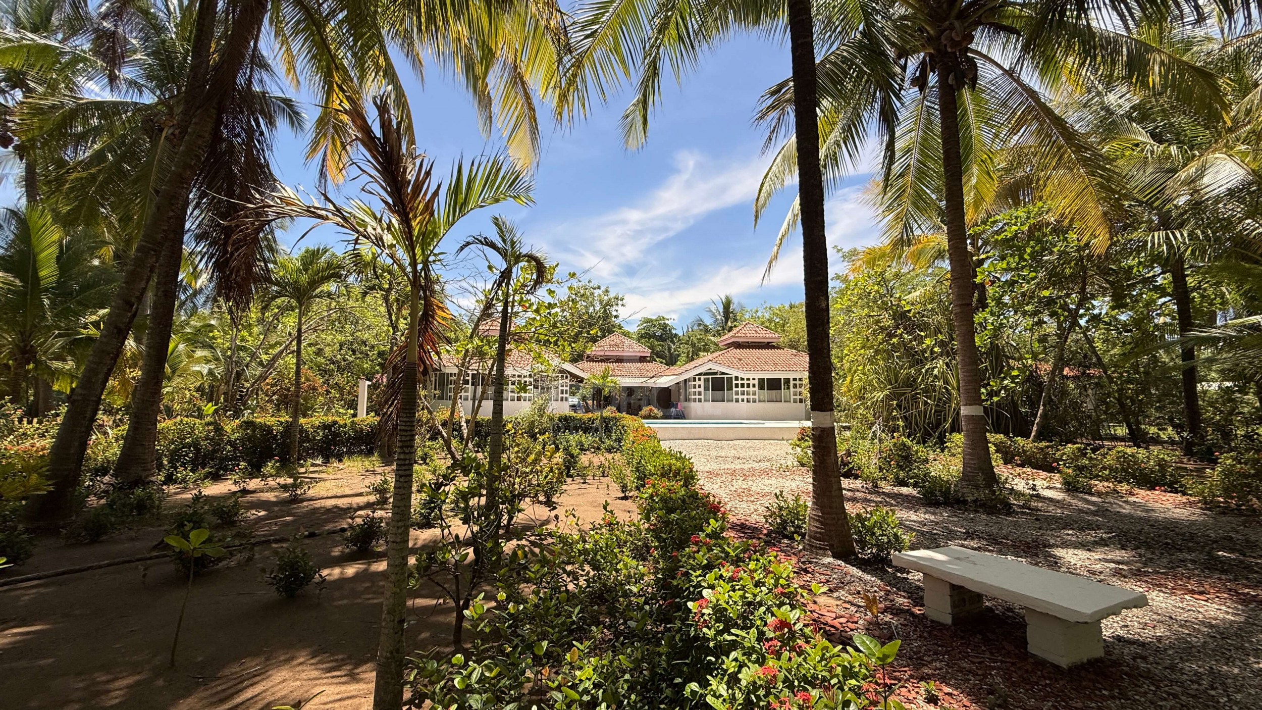 Paradise Found: Exclusive Beachfront Estate in Playa Coyote