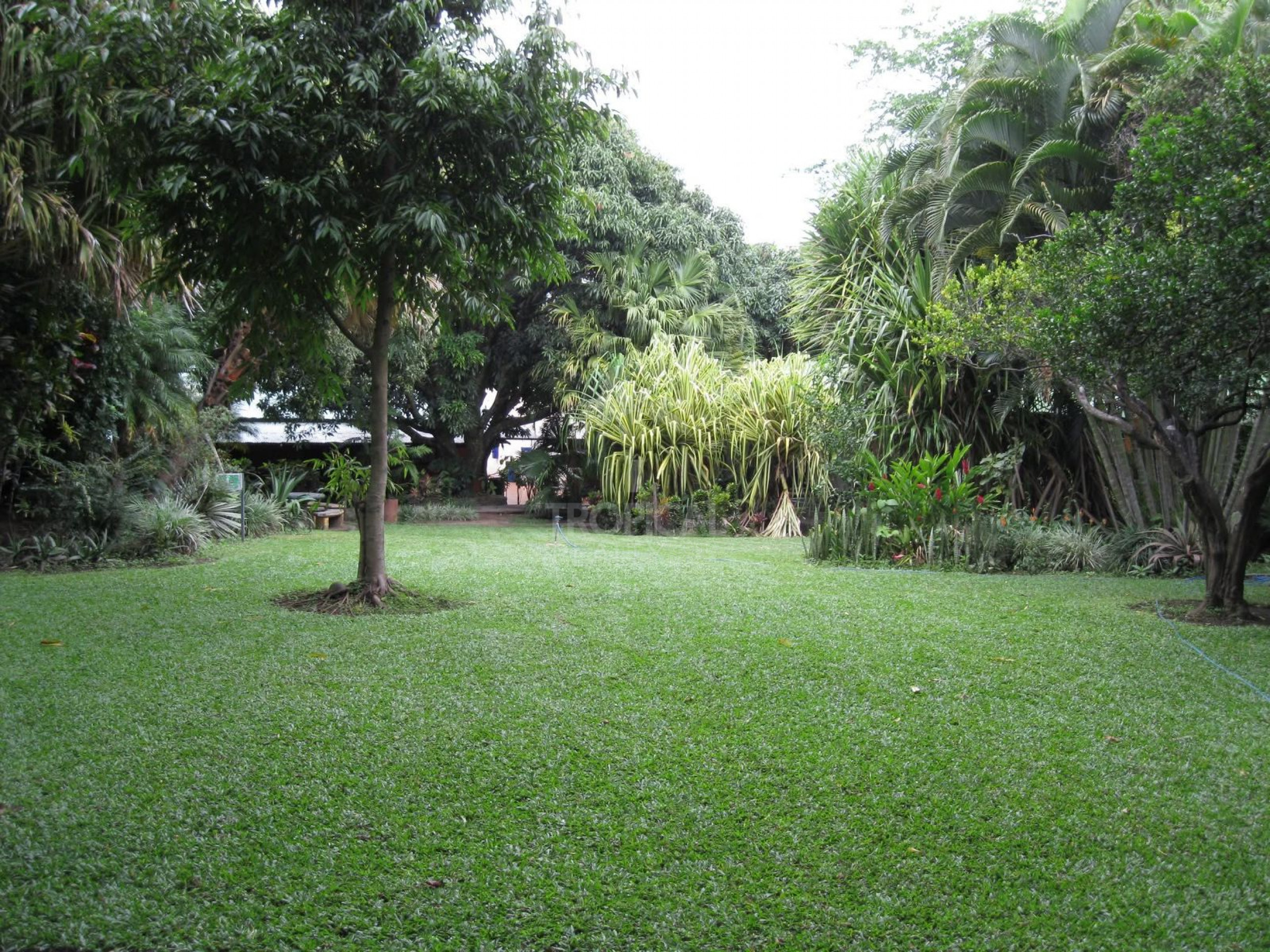 Commercial / Institutional Property for Sale in Río Oro, Santa Ana