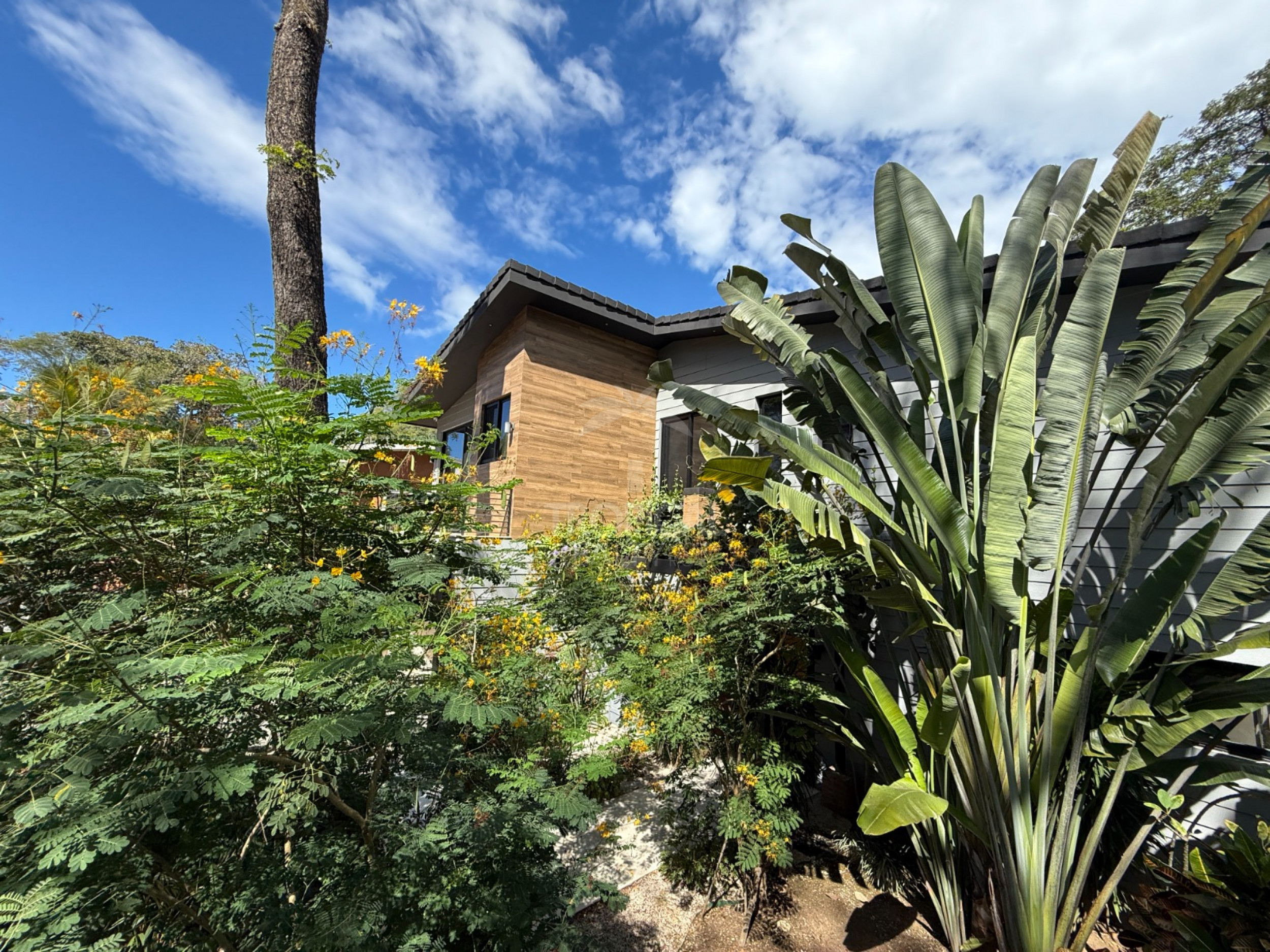 Modern 3-Bedroom Loft for Sale in Playa Potrero | Sold