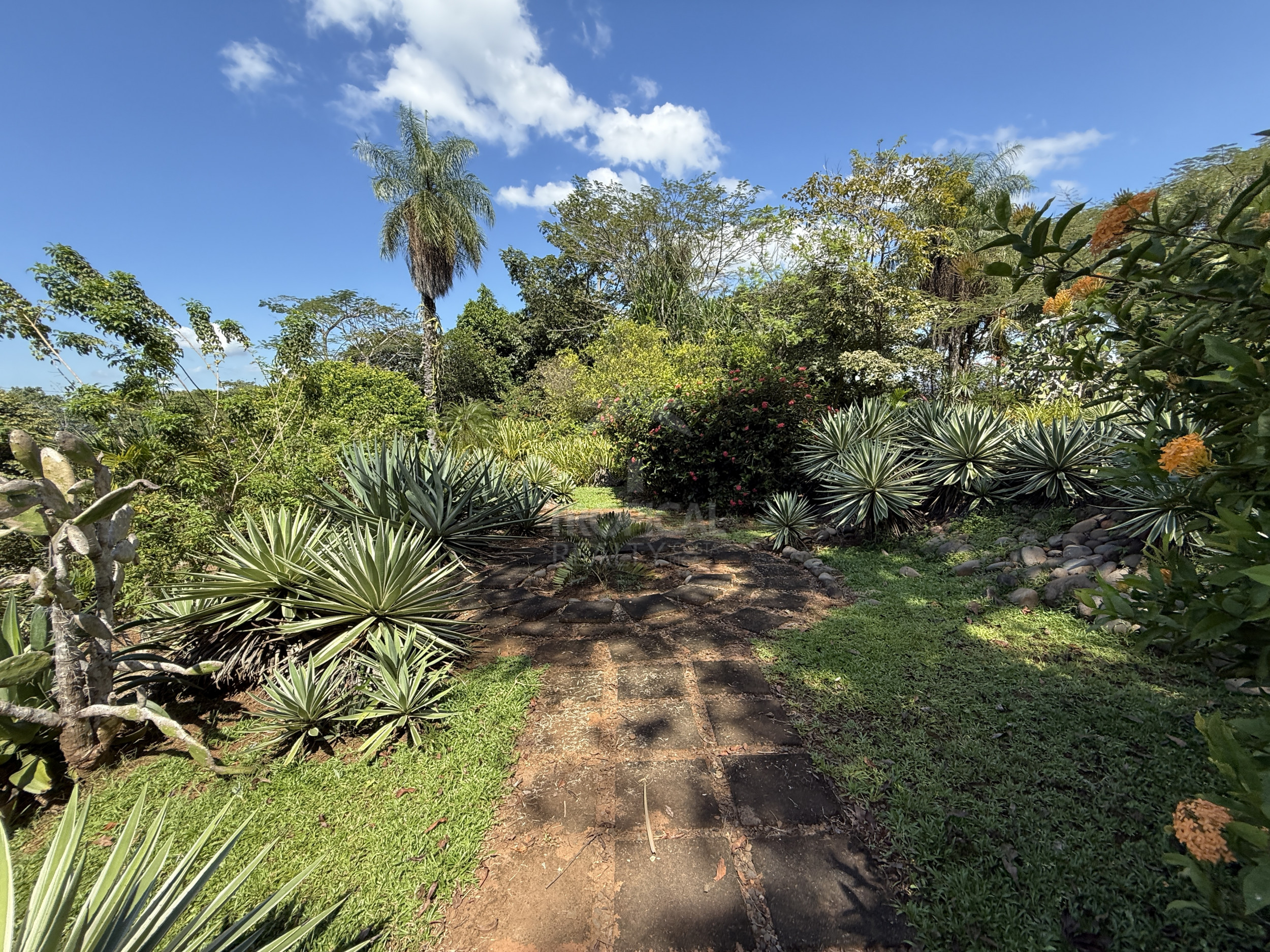 Property for sale with 3 houses and a cabin in Esparza!