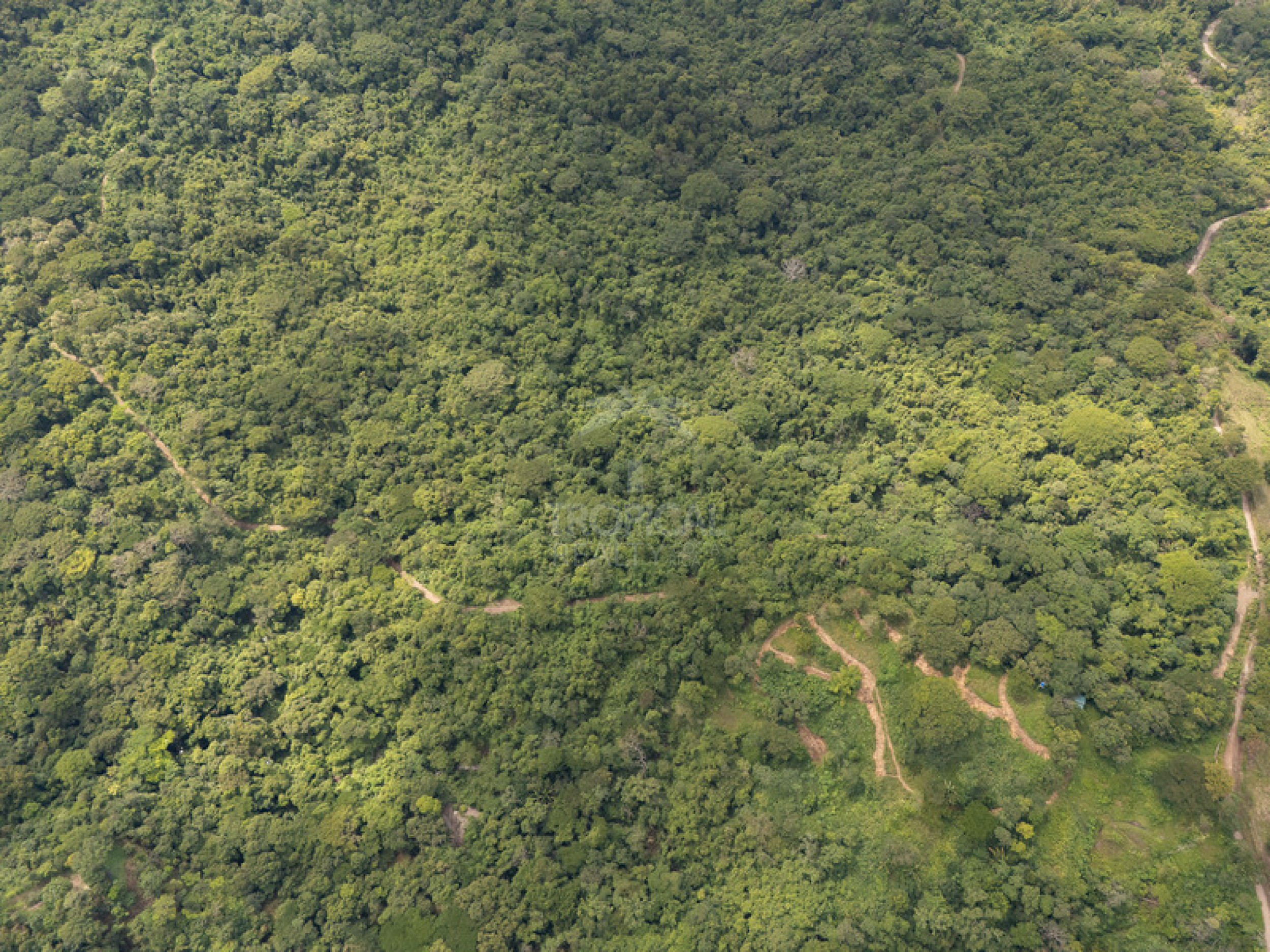 Premium Ocean View Development Estate in Cabuya – 58.6 Hectares with Infrastructure and Exceptional Potential