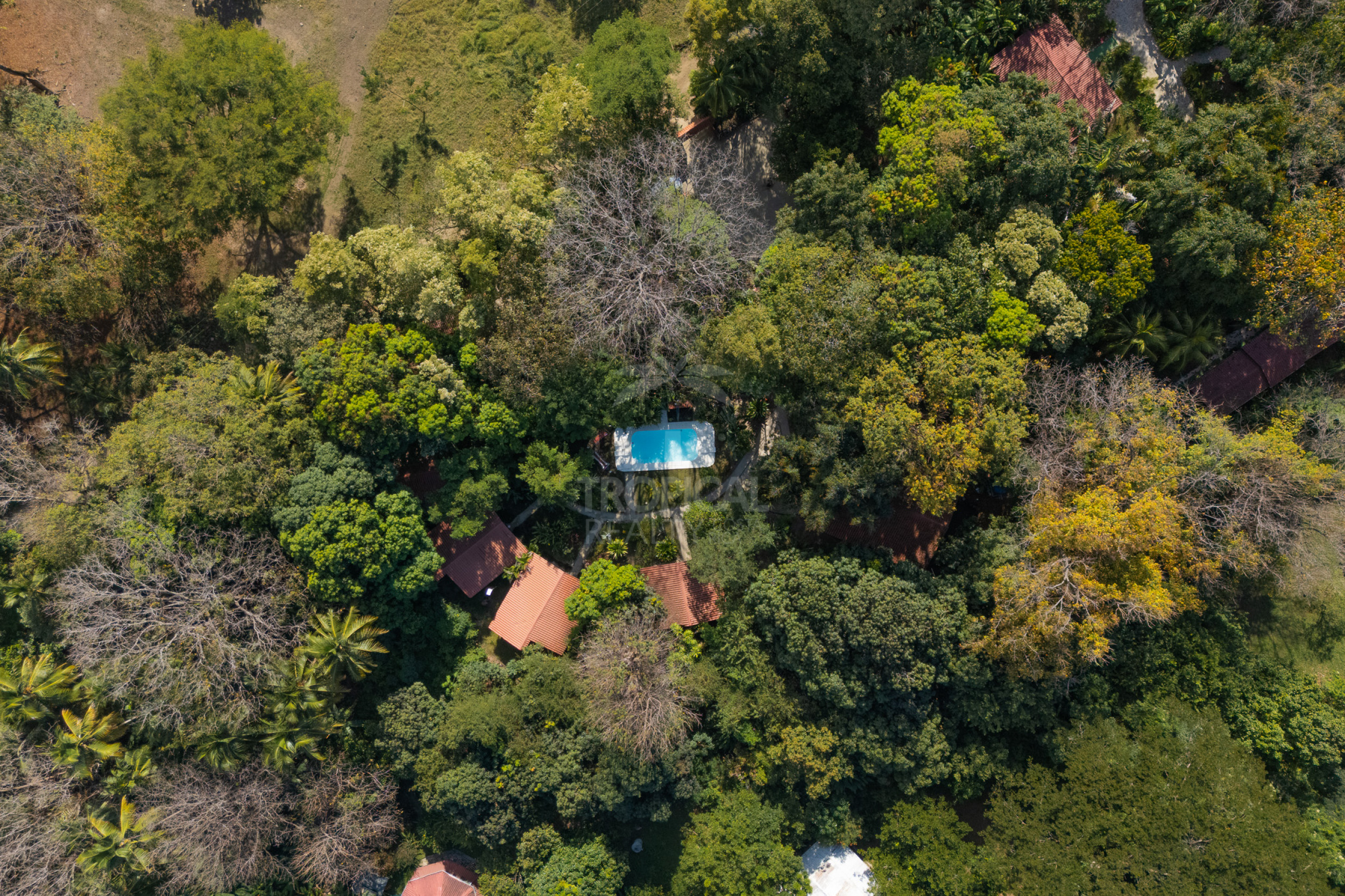 Cabañas en Venta en Montezuma | Inversión Turnkey cerca de Los Cedros